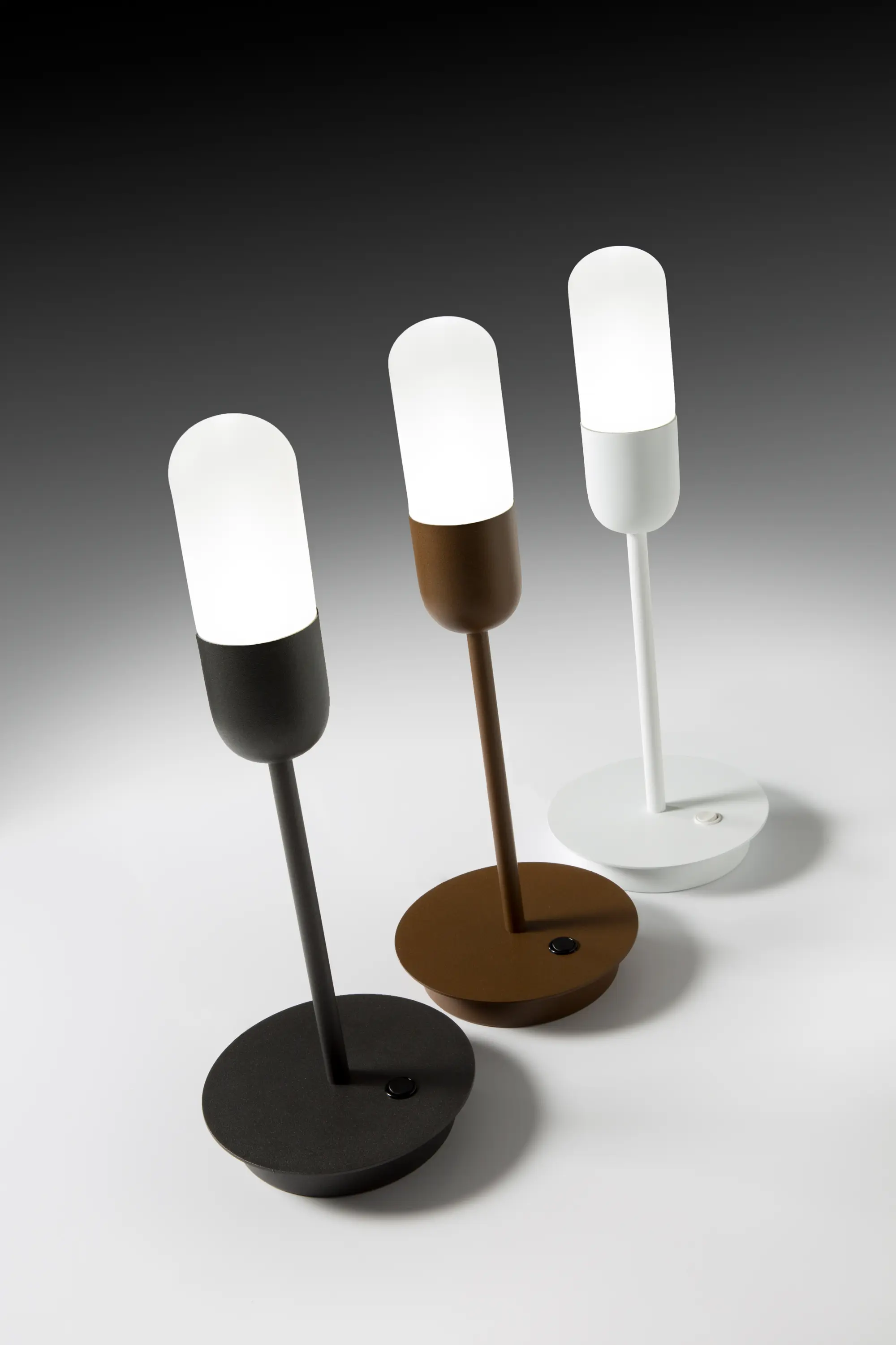 ALMA LIGHT - Capsule