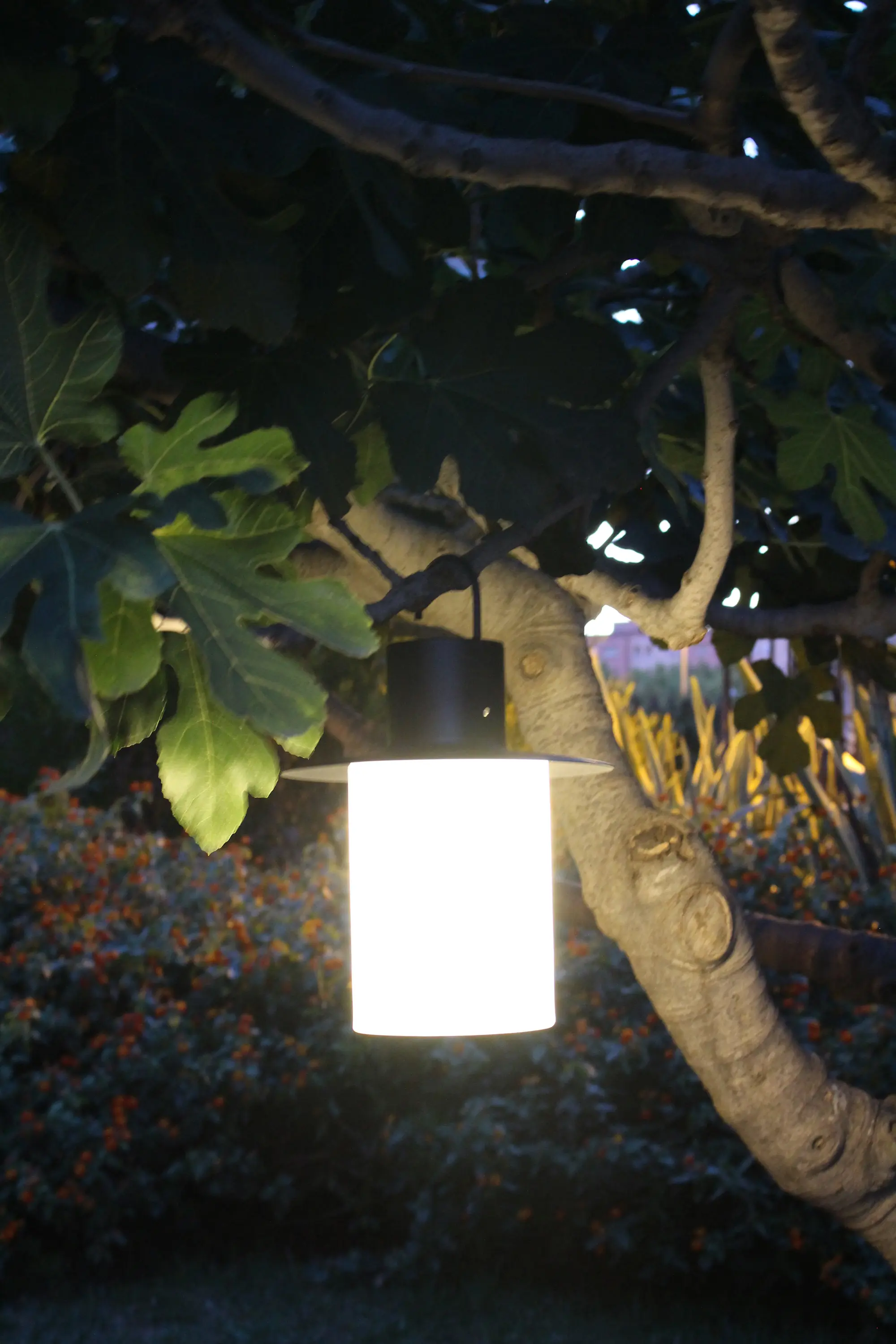 ALMA LIGHT - Nautic