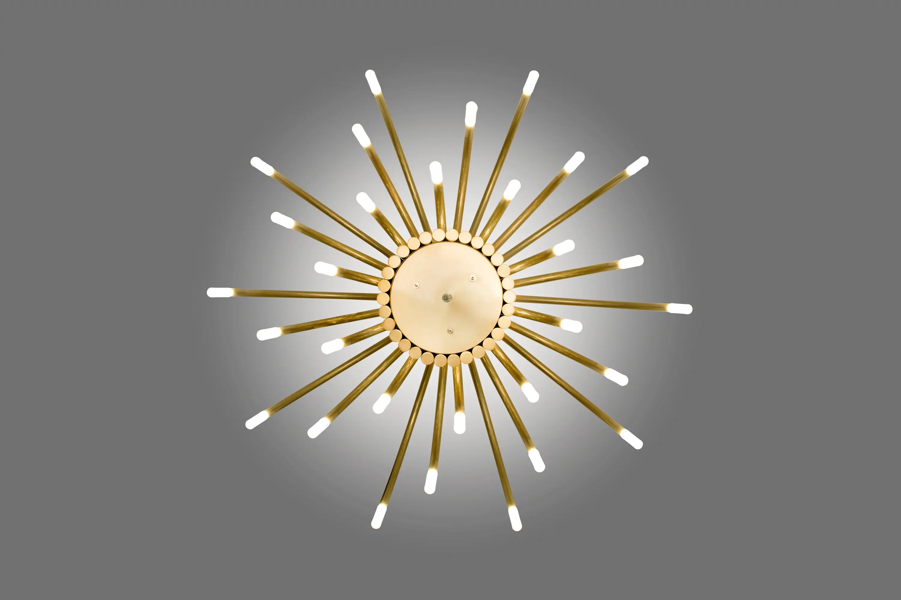 ALMA LIGHT - The Palm