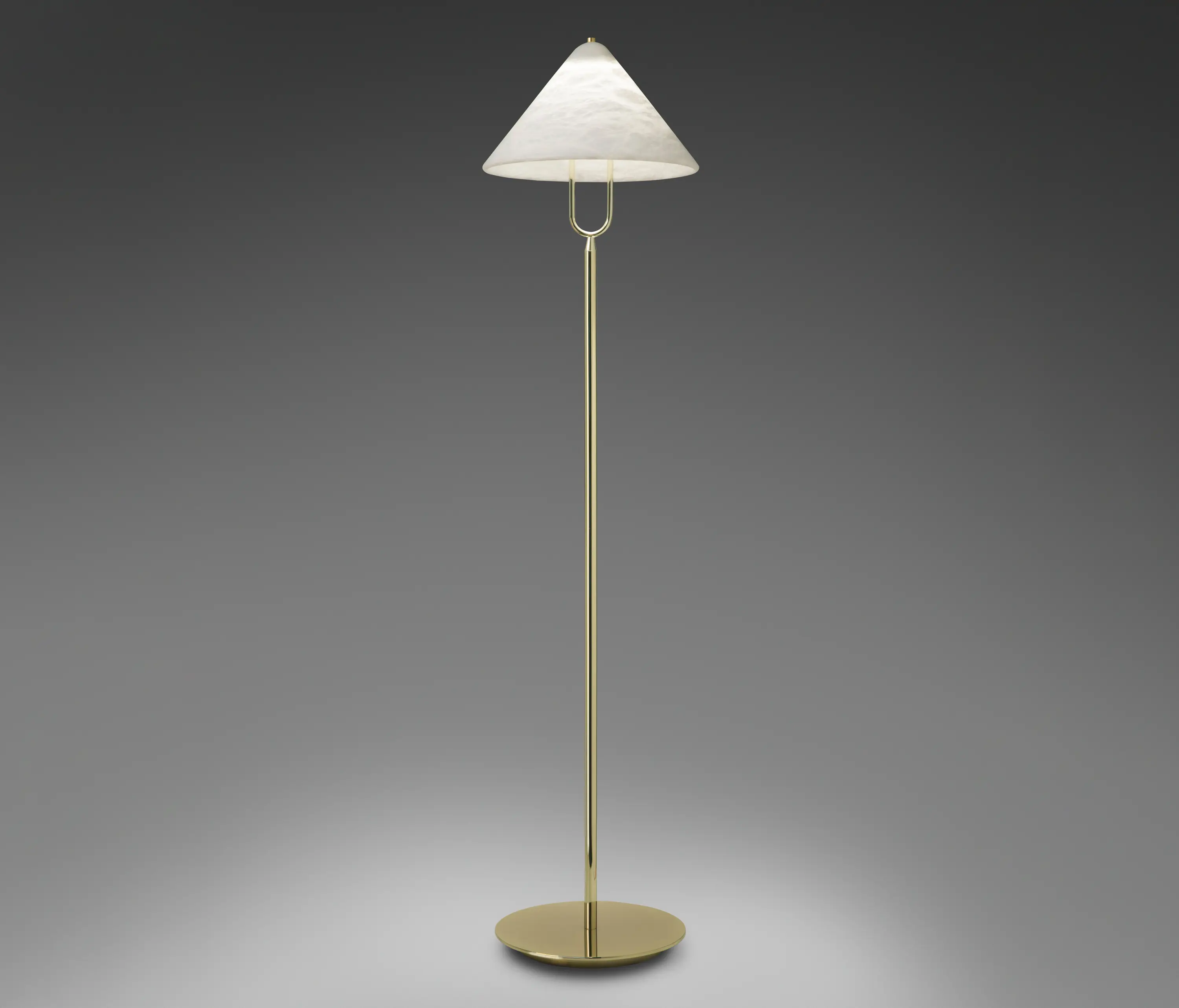 ALMA LIGHT - Fuji