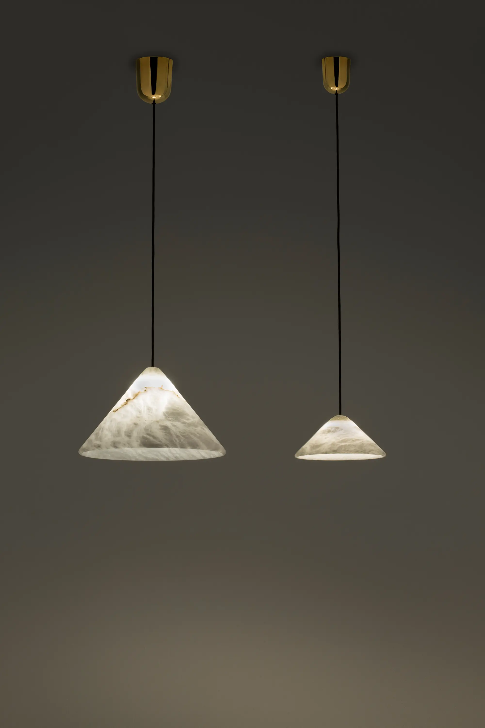 ALMA LIGHT - Fuji