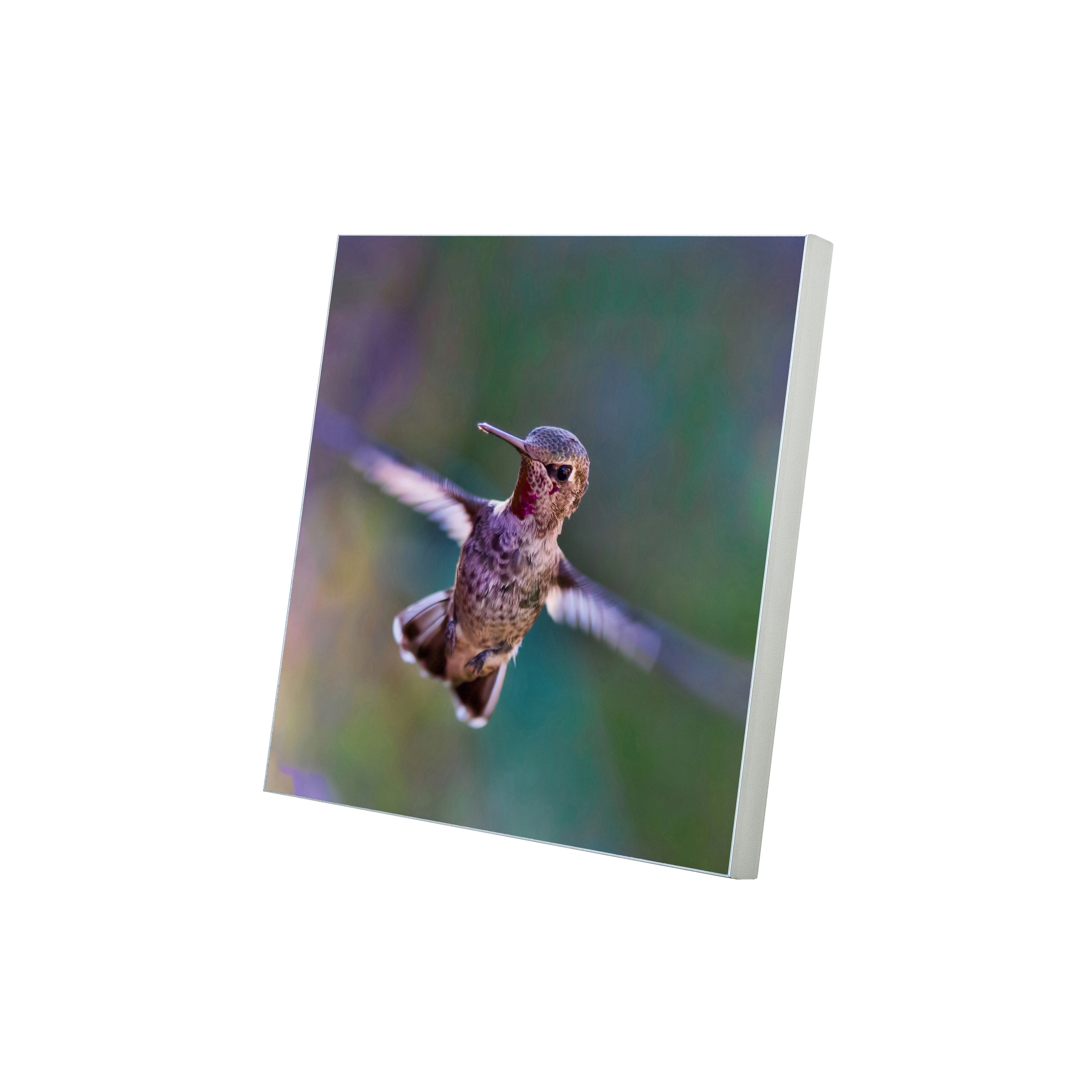 Afficher le produit Wall Absorber 55/40 digitally printed  with circumferential cover  or fabric-covered inner edge du fabricant AOS