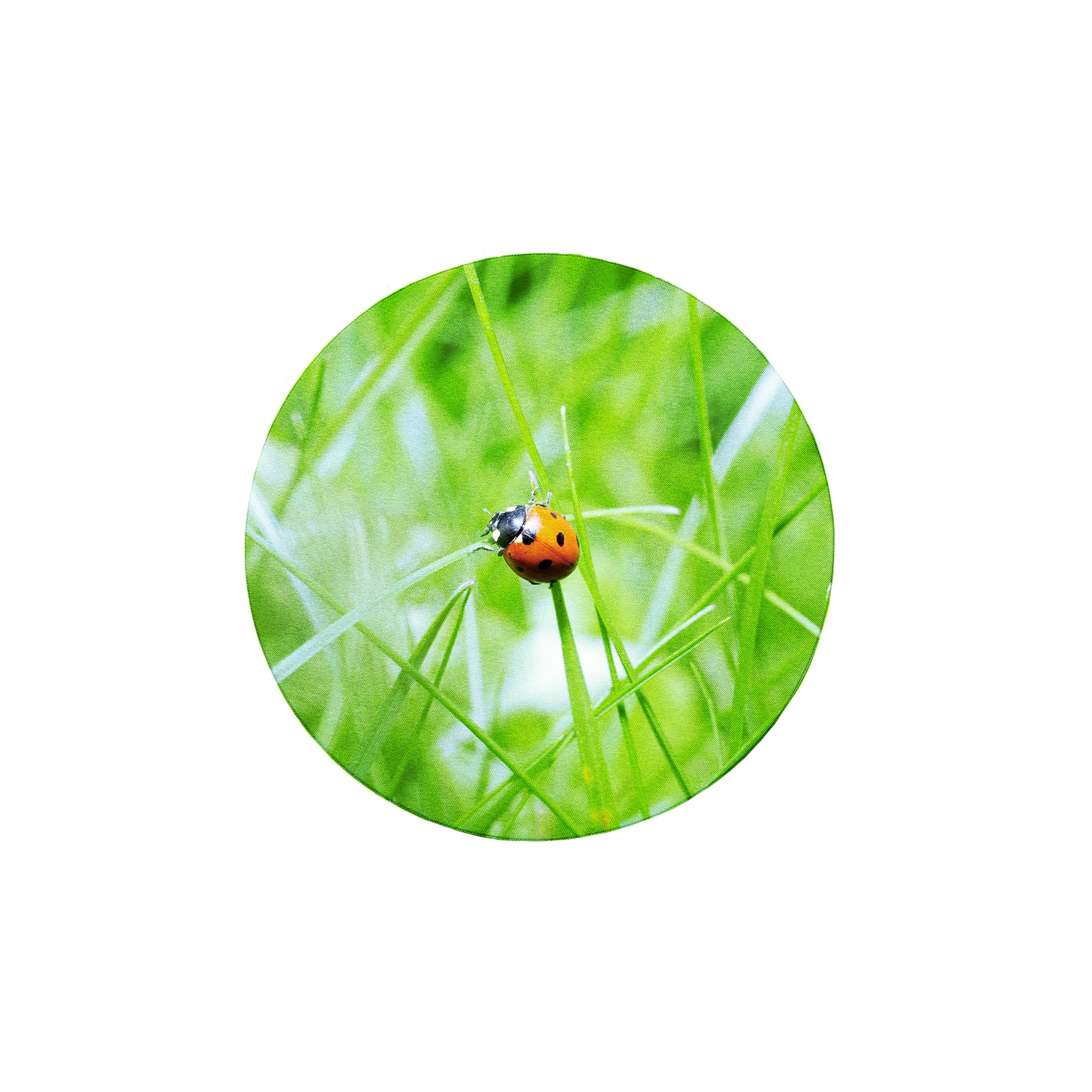 Afficher le produit Wall absorber 50/65 round digitally printed, frameless du fabricant AOS