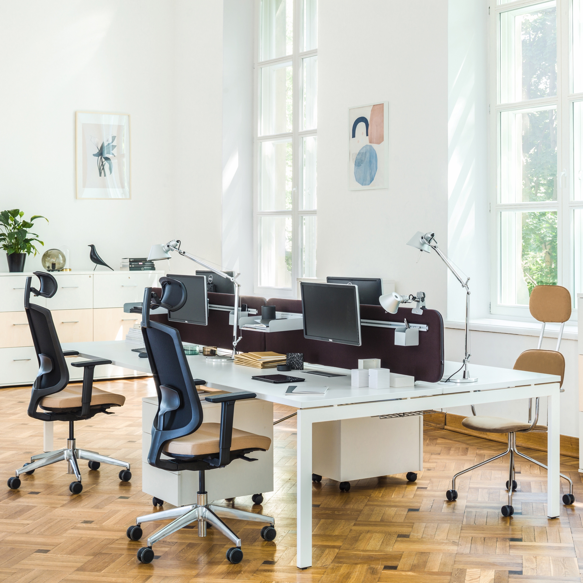 Mostrar el producto Ogi U del fabricante MDD