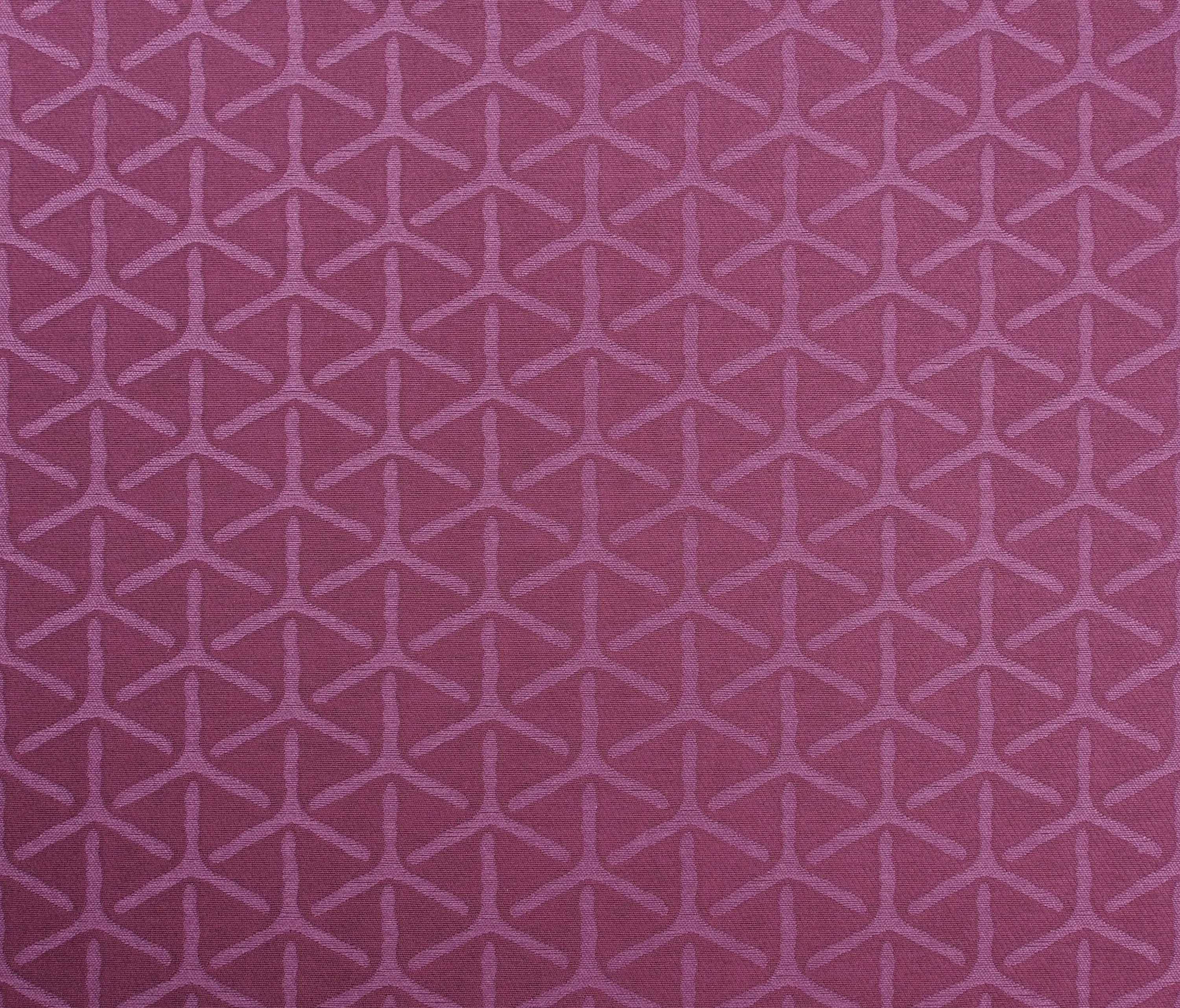 Giardini - Zenith