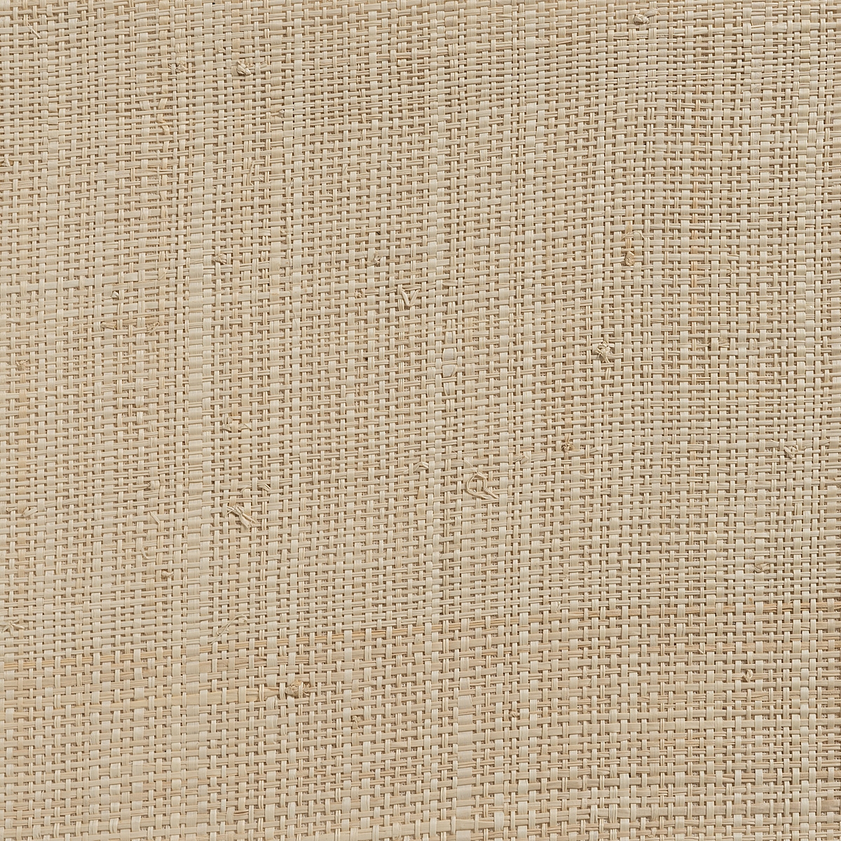 Display product E-2358 | Natural from manufacturer Naturtex