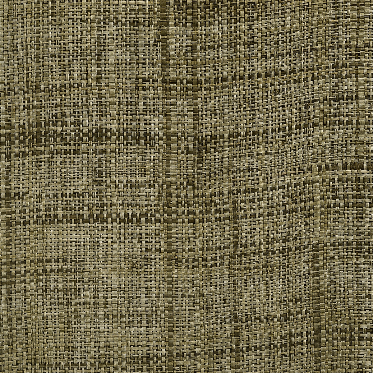 E-2358 | Color 1079