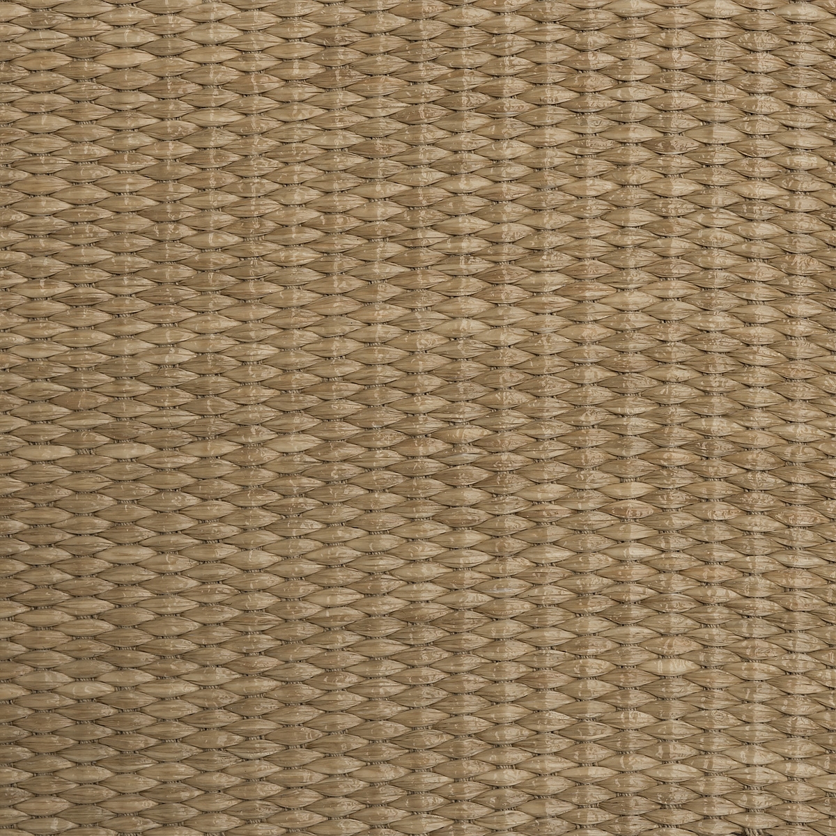 A-556 | Color 101