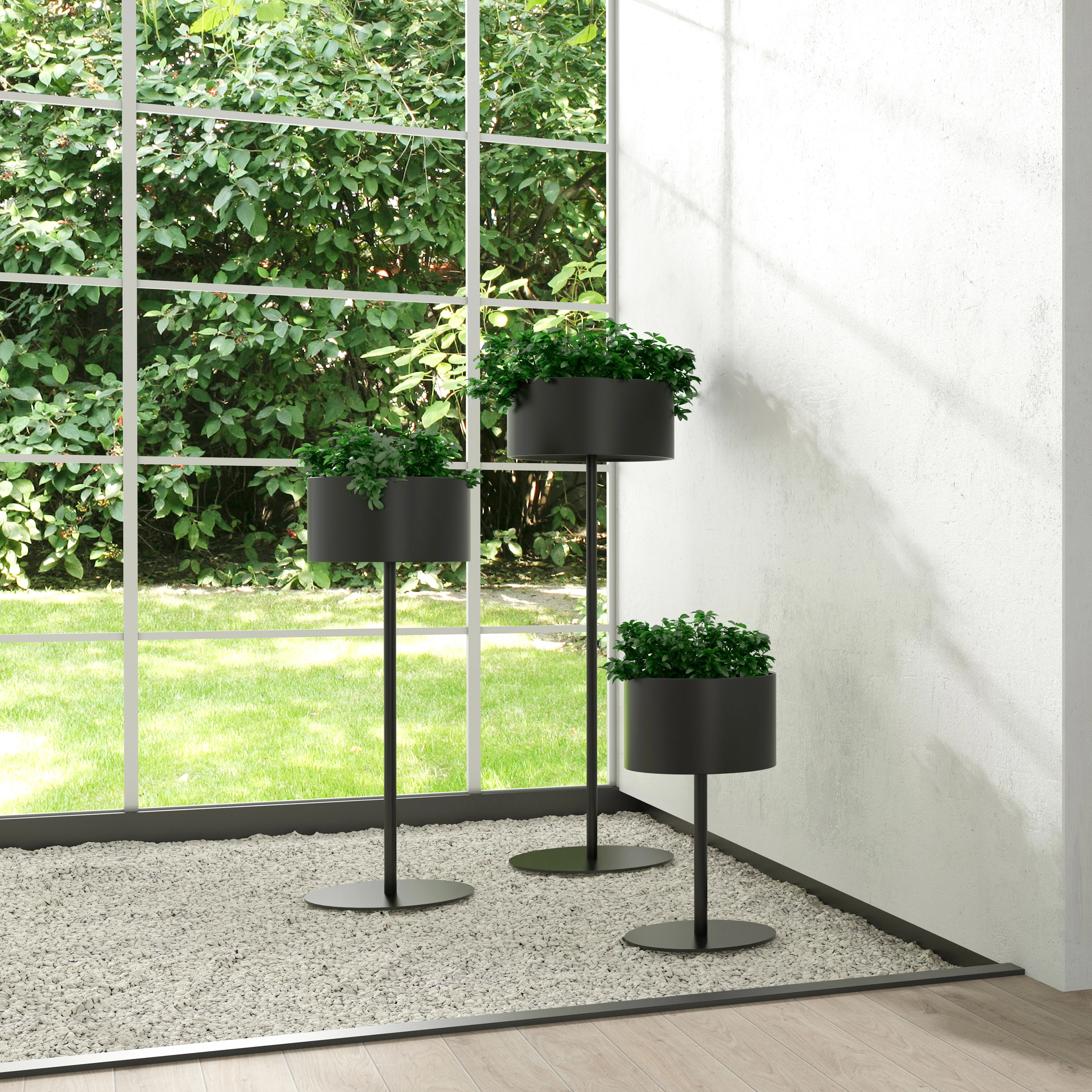 PLANT POTS