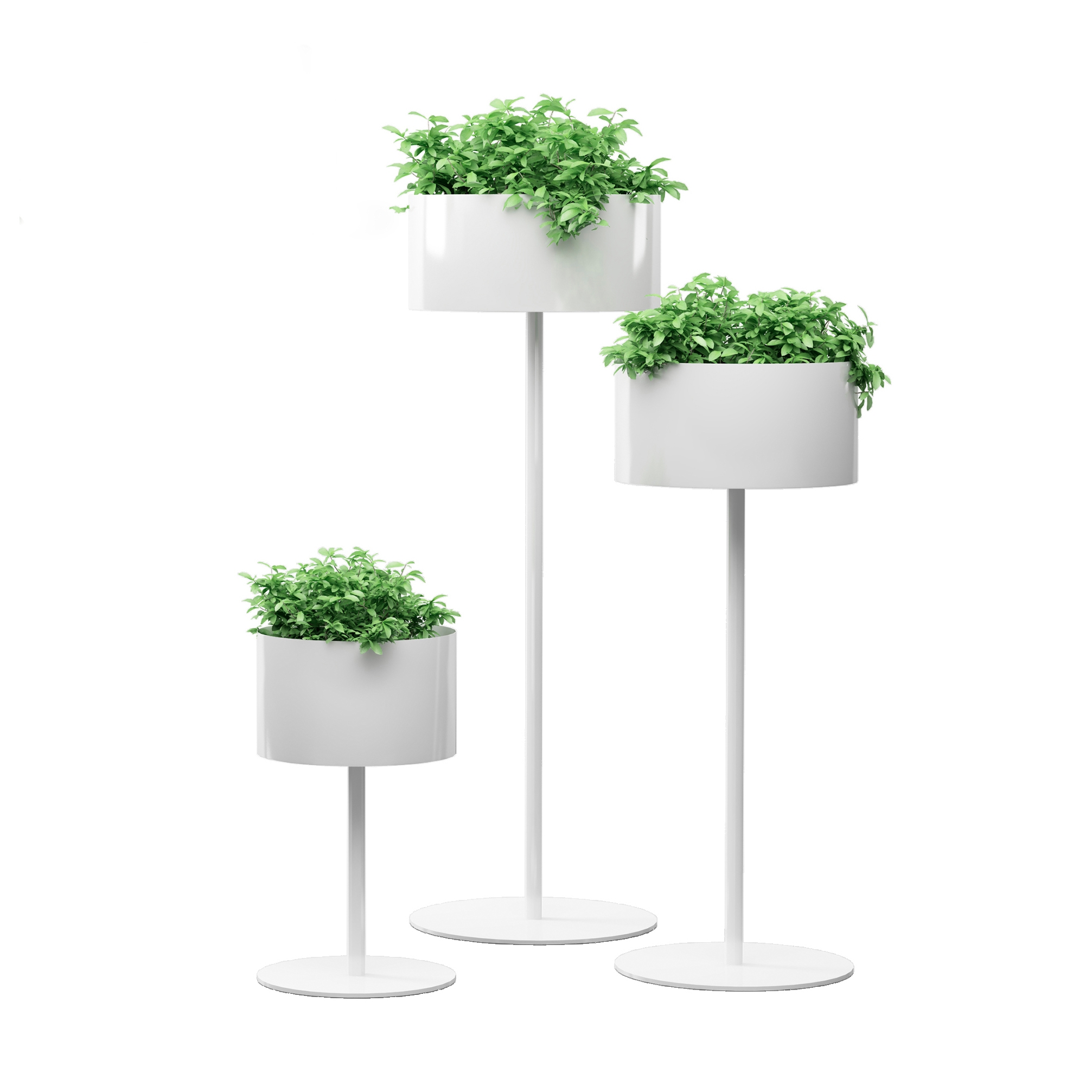 Mostra il prodotto Green Cloud Standing del produttore Systemtronic