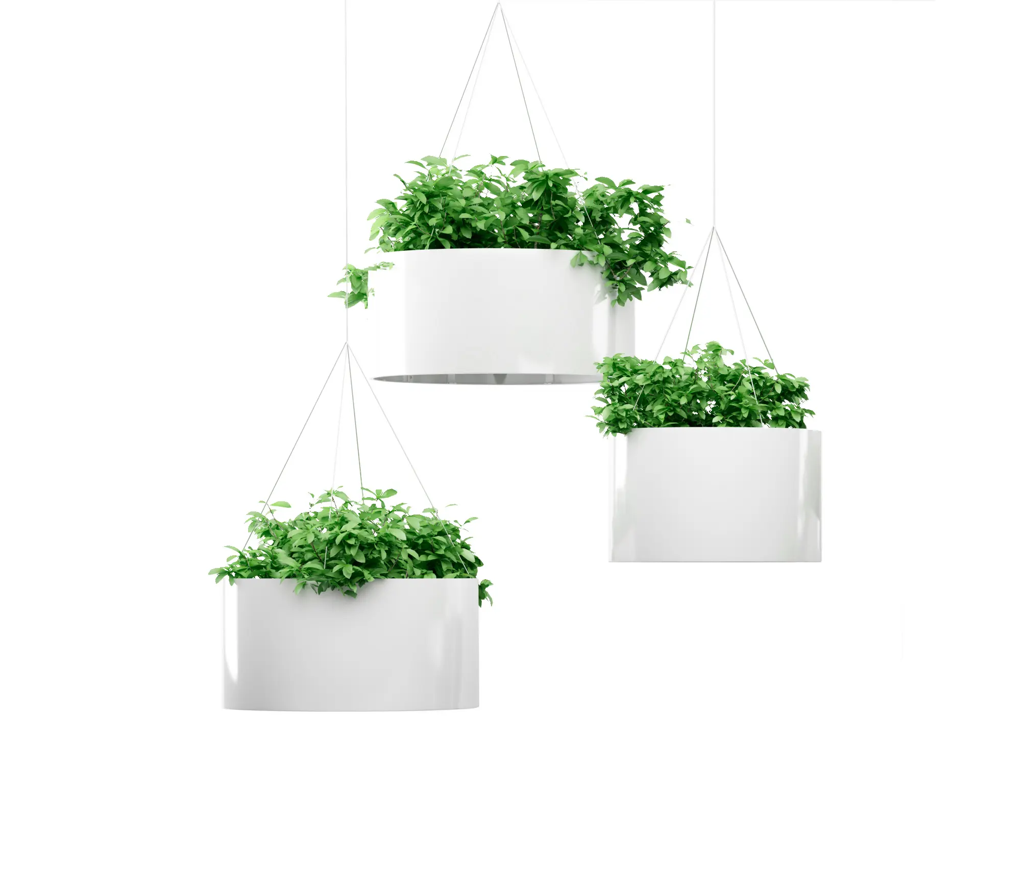 Systemtronic - Green Cloud colgante