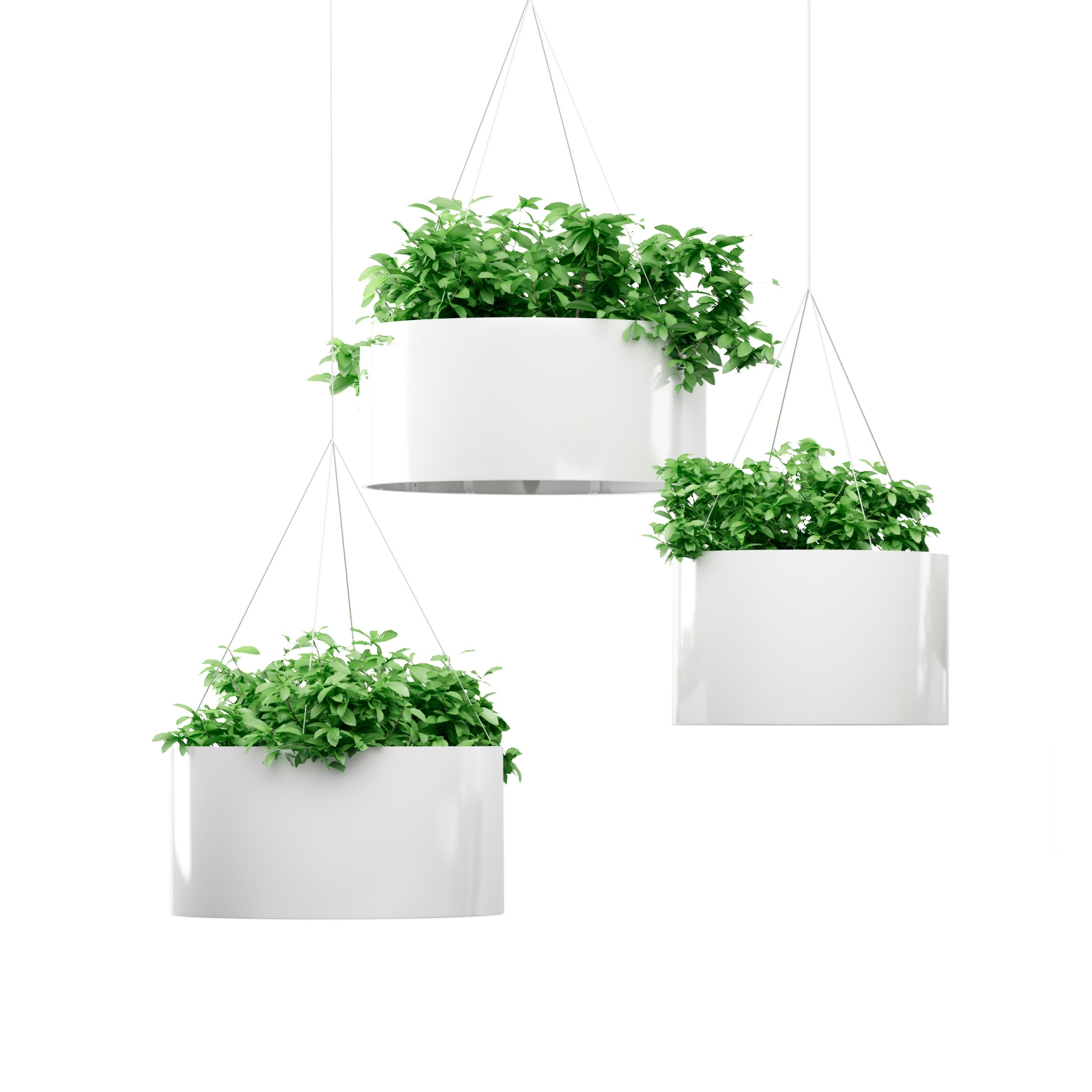 Produkt Green Cloud Hanging des Herstellers Systemtronic anzeigen