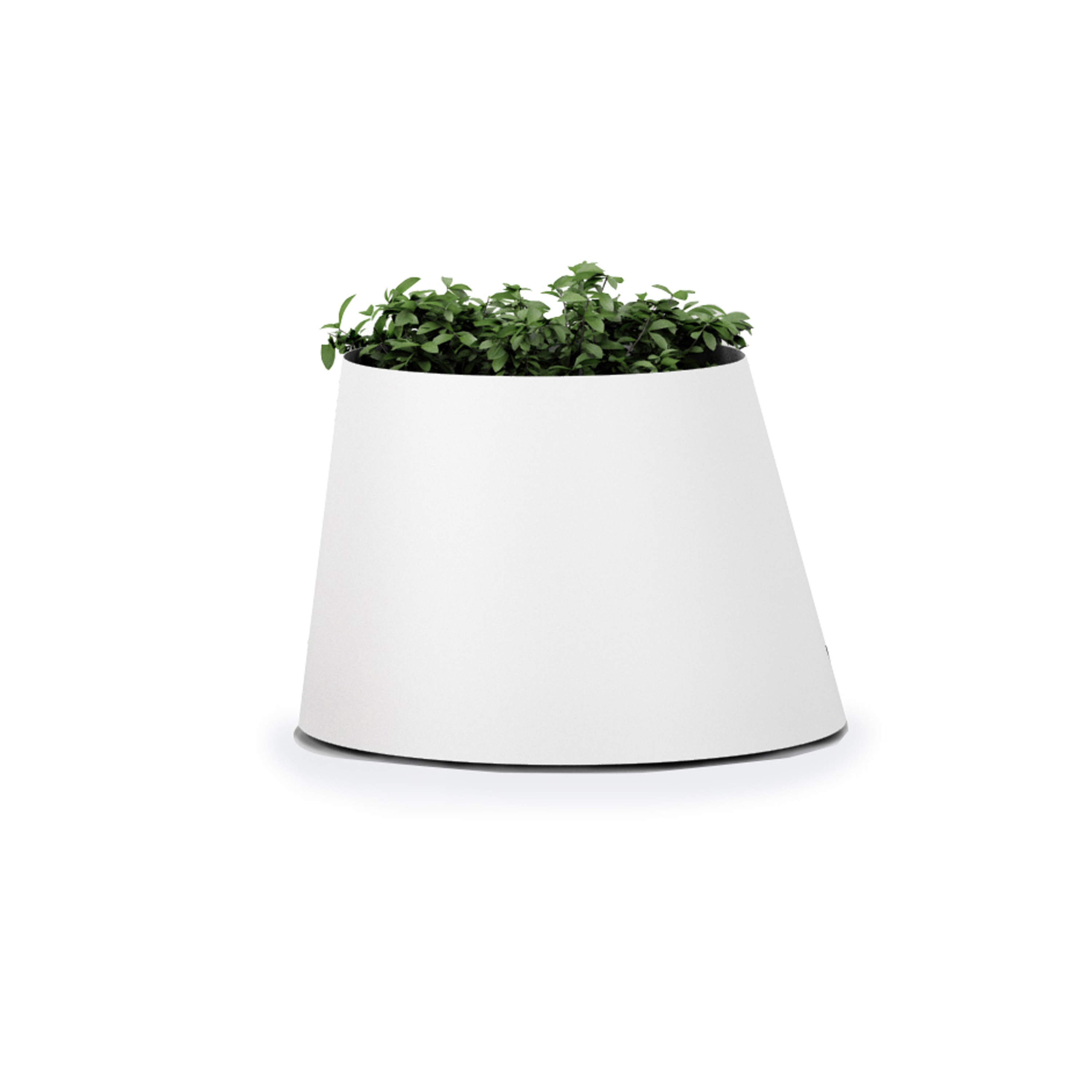 Display product Conee S from manufacturer Systemtronic