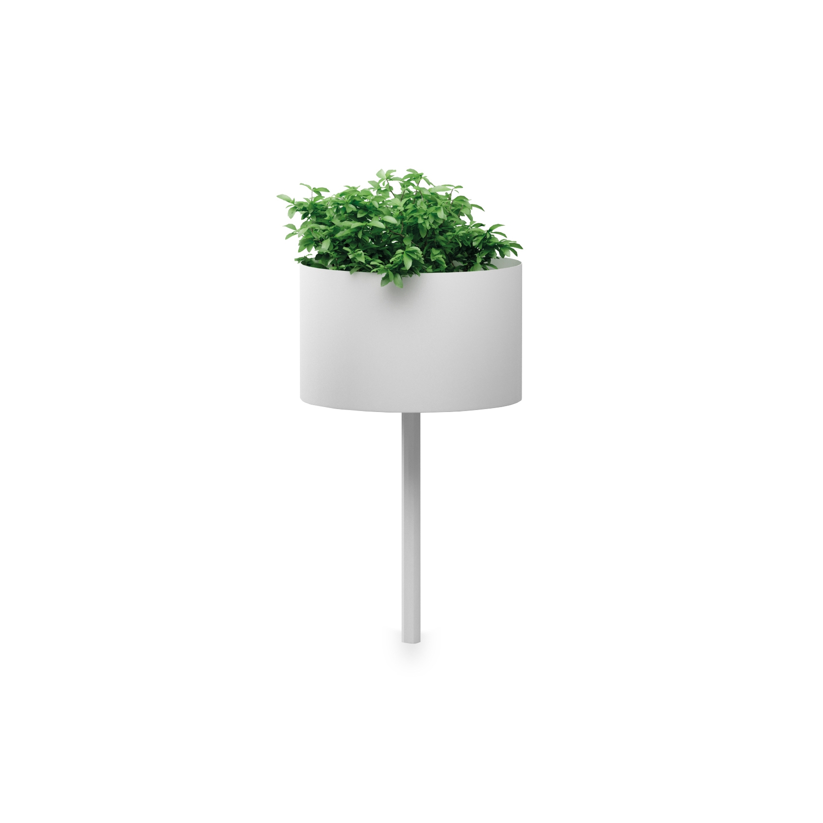 Display product Green Cloud Peg from manufacturer Systemtronic