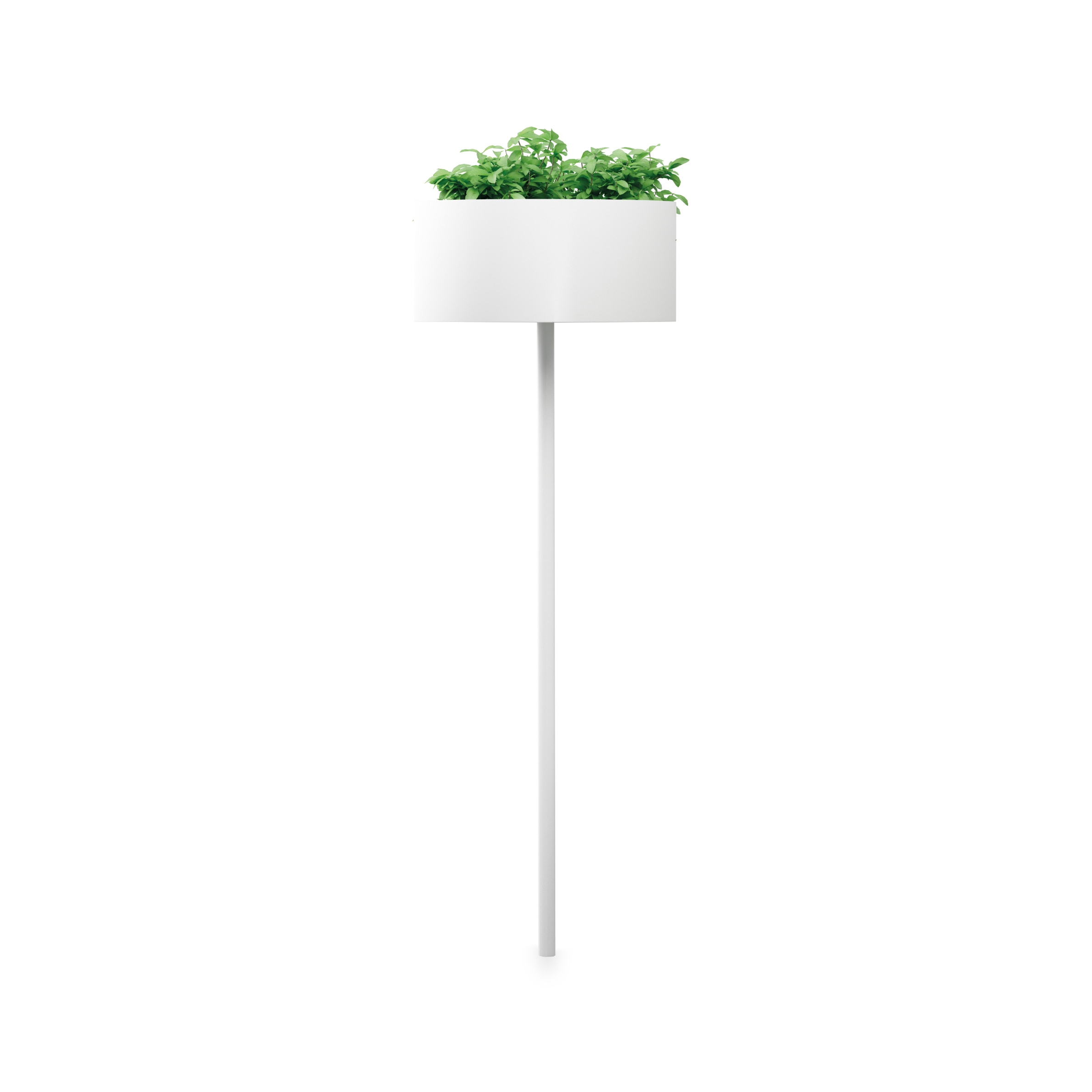 Display product Green Cloud Peg from manufacturer Systemtronic