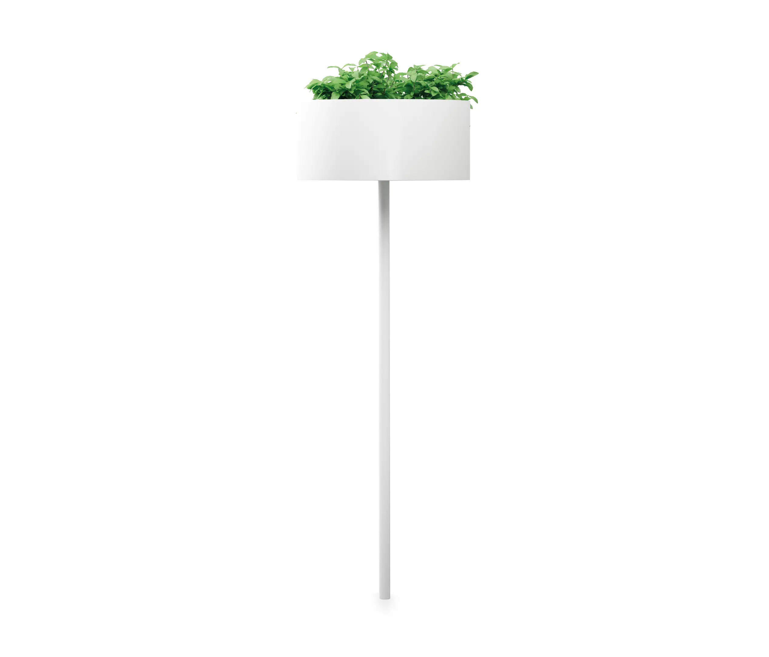 Systemtronic - Green Cloud Peg