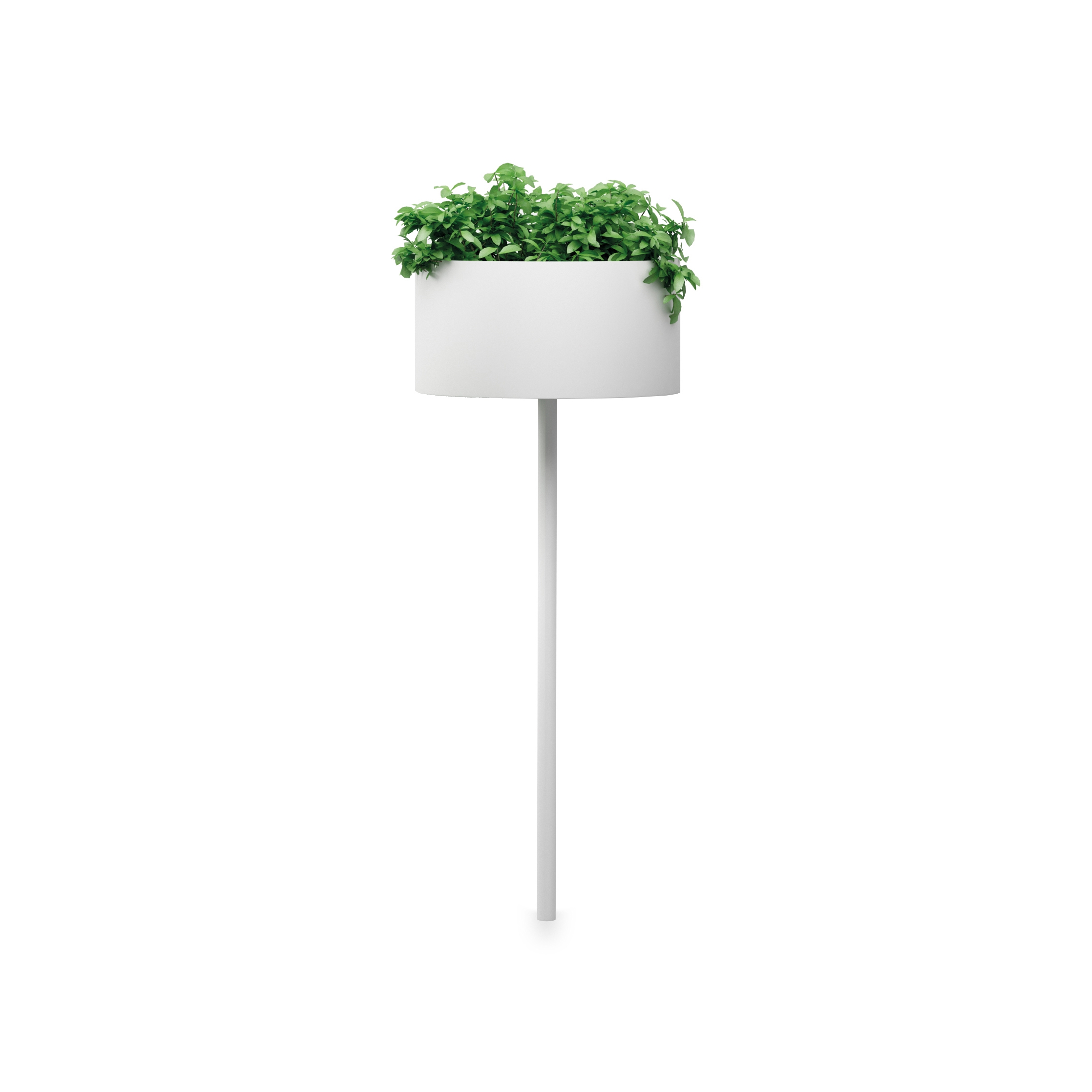 Produkt Green Cloud Peg des Herstellers Systemtronic anzeigen