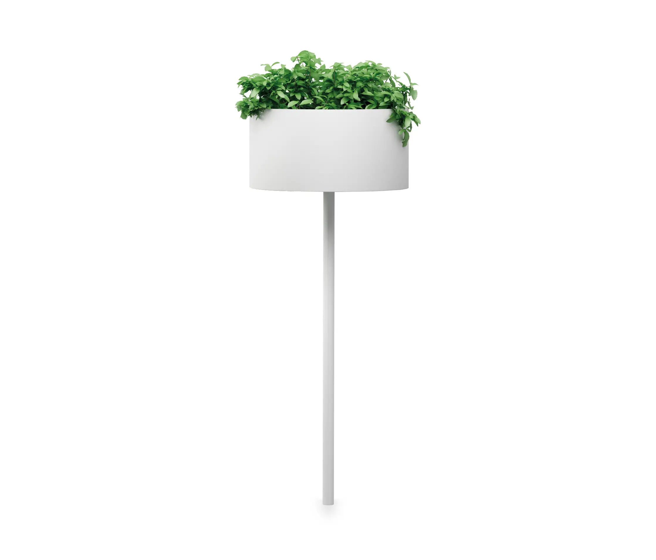 Systemtronic - Green Cloud Peg