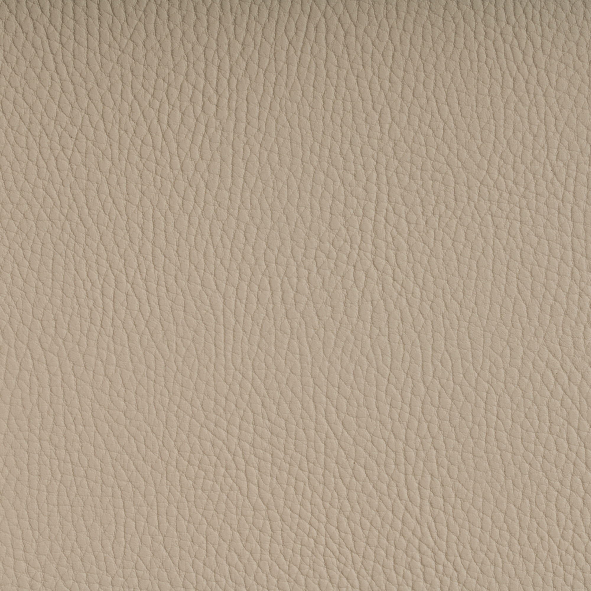 BELUGA WHITECAP