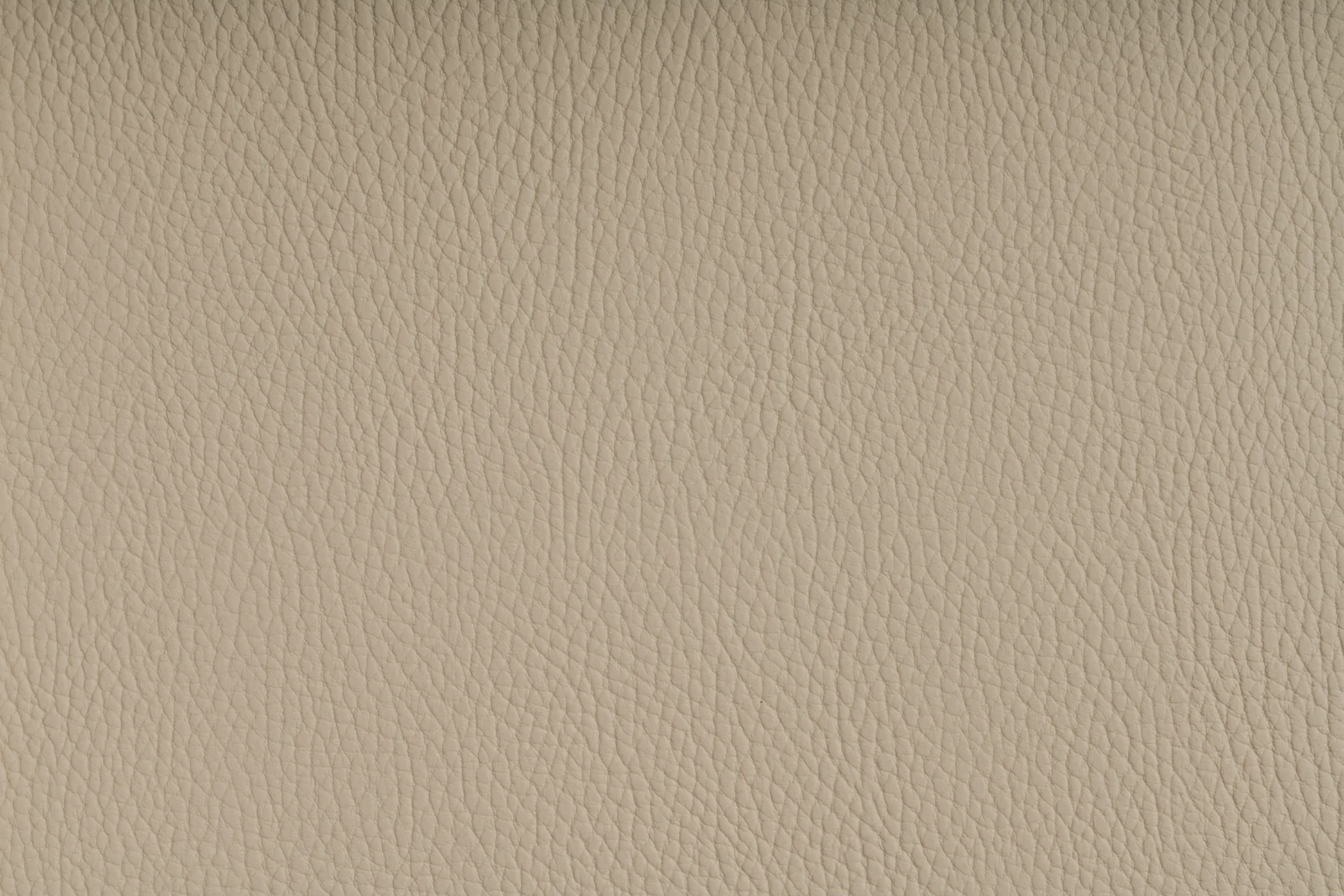 SPRADLING - BELUGA WHITECAP