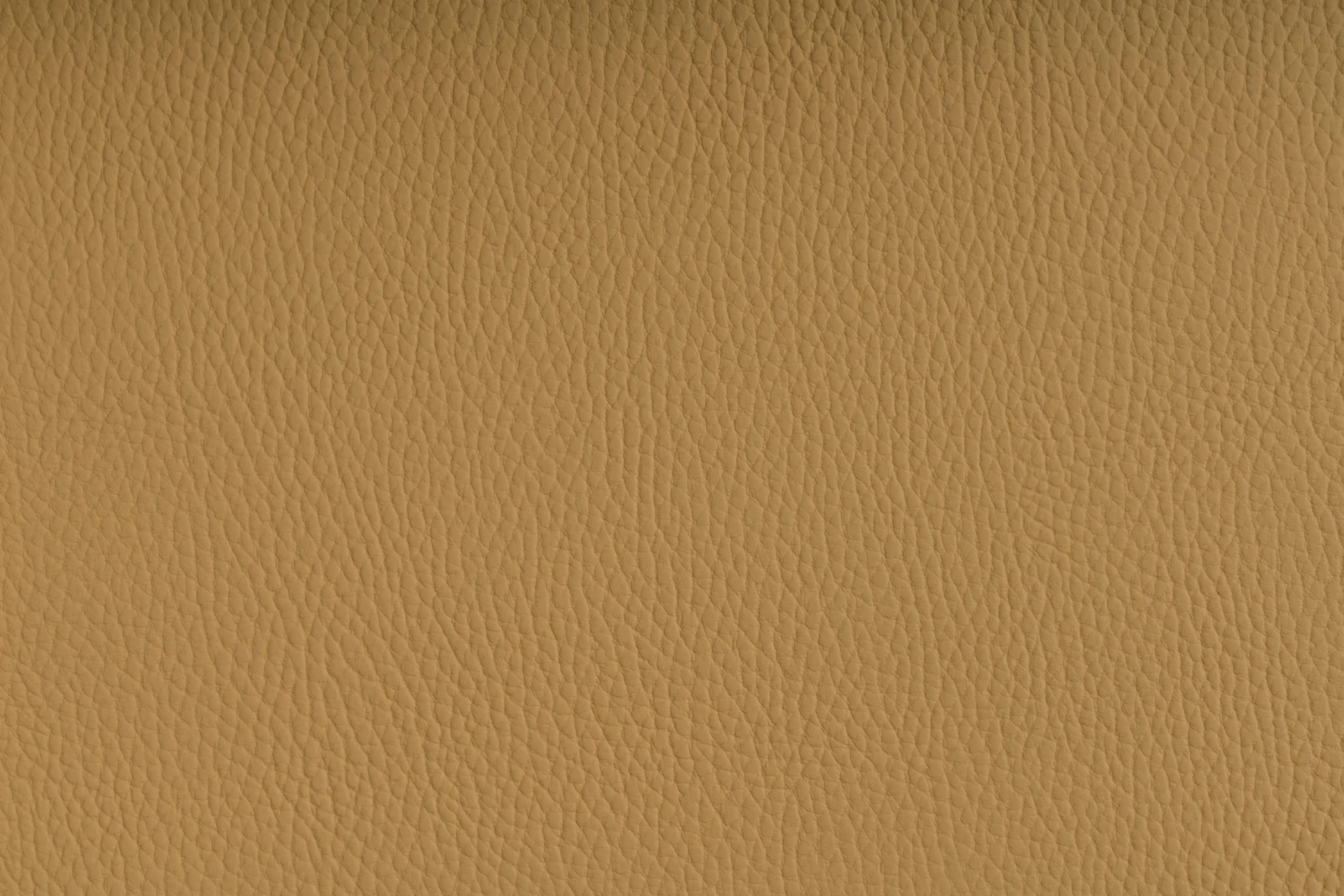 SPRADLING - BELUGA DUNE