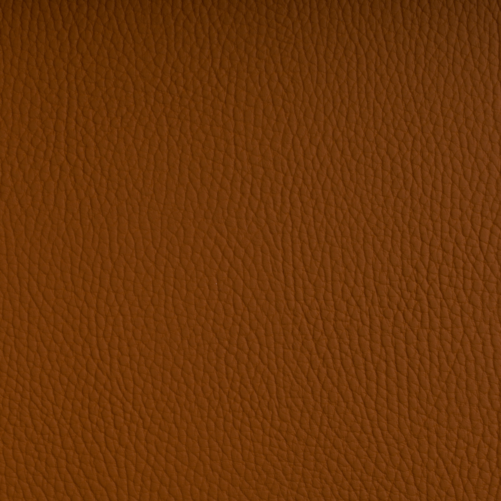 BELUGA OCHRE