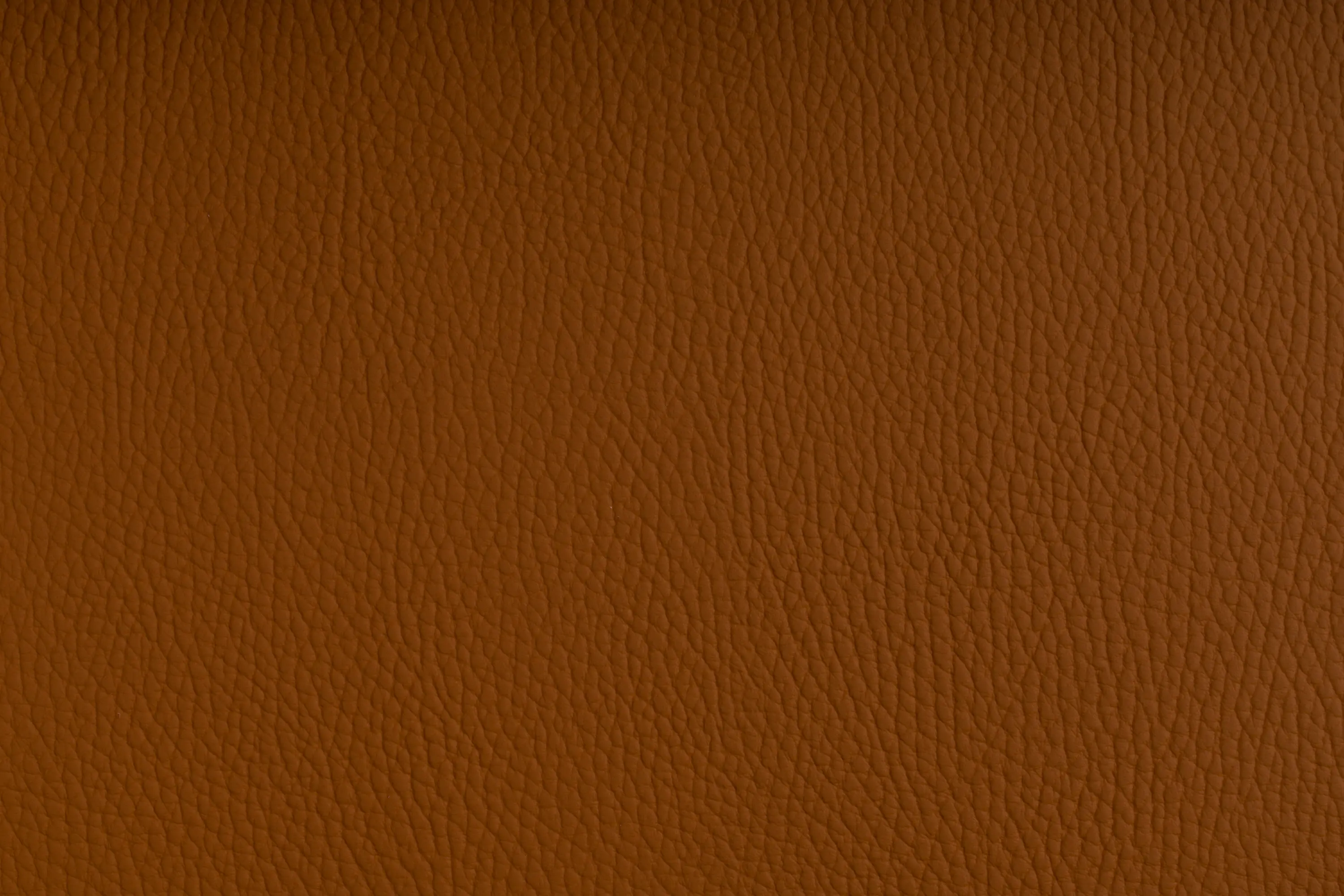 SPRADLING - BELUGA OCHRE