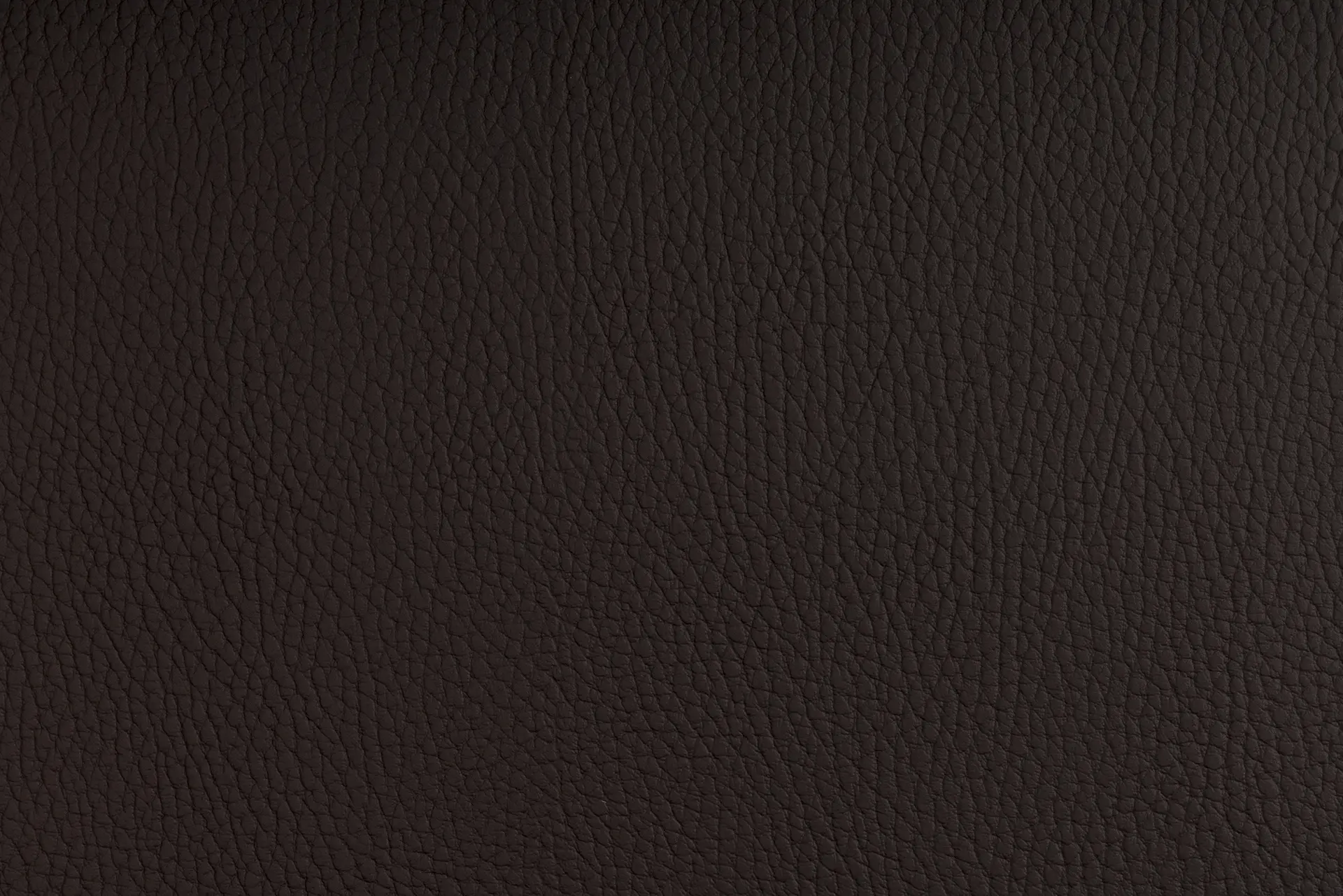 SPRADLING - BELUGA MOCCA
