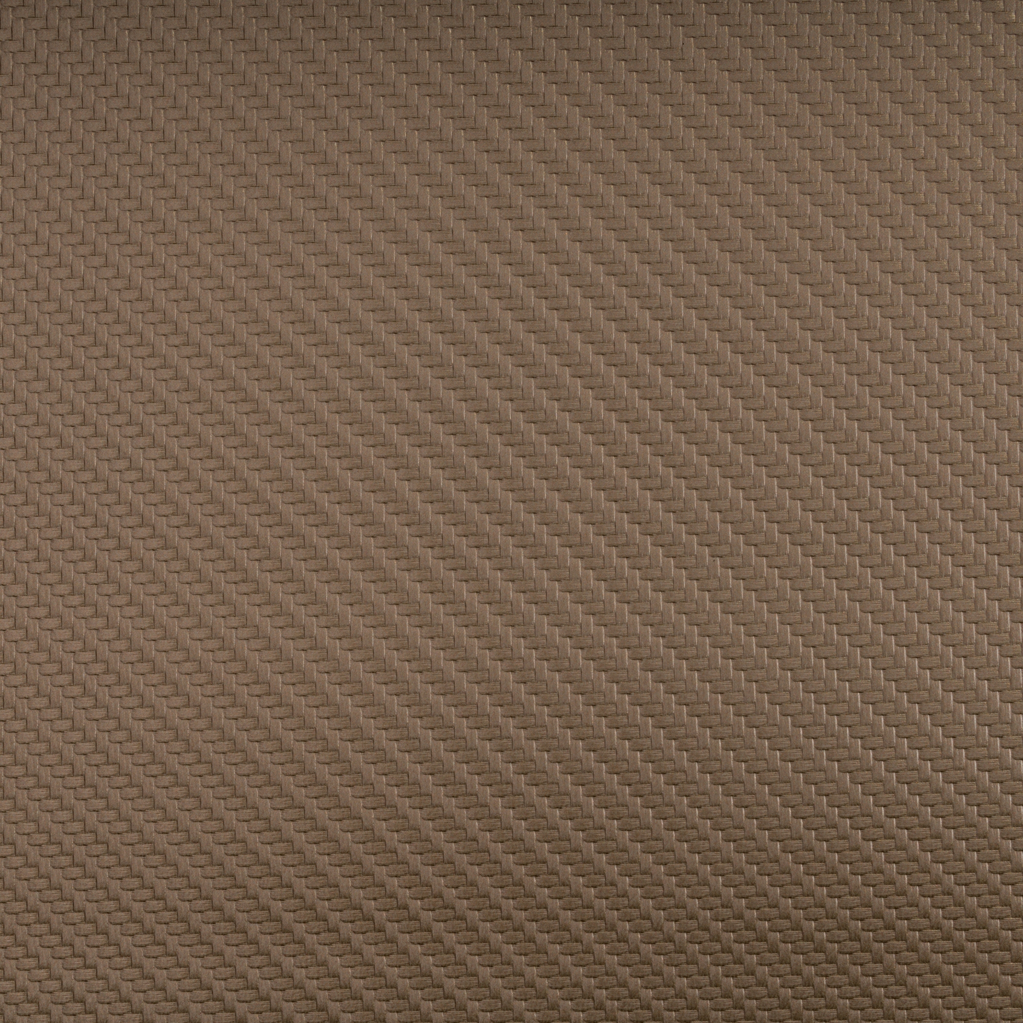 CARBON FIBER GINGER