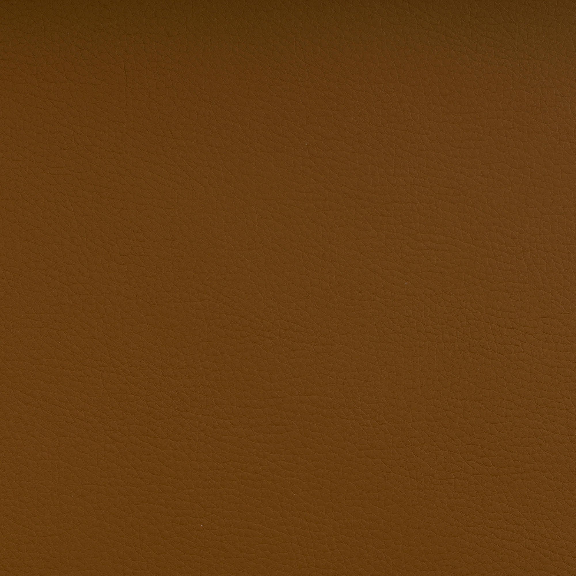 DOLCE POLYURETHANE CAMEL