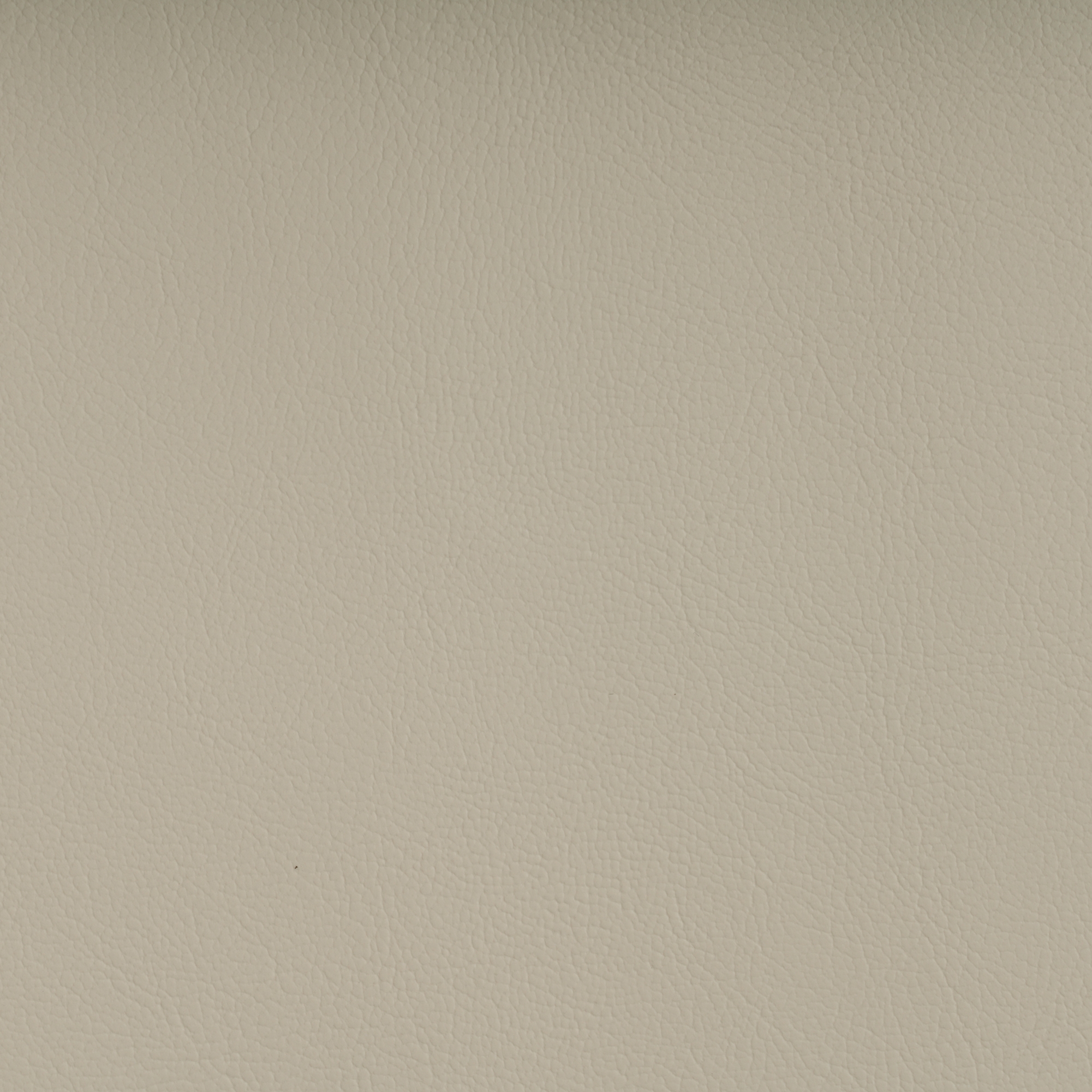MARLIN IVORY