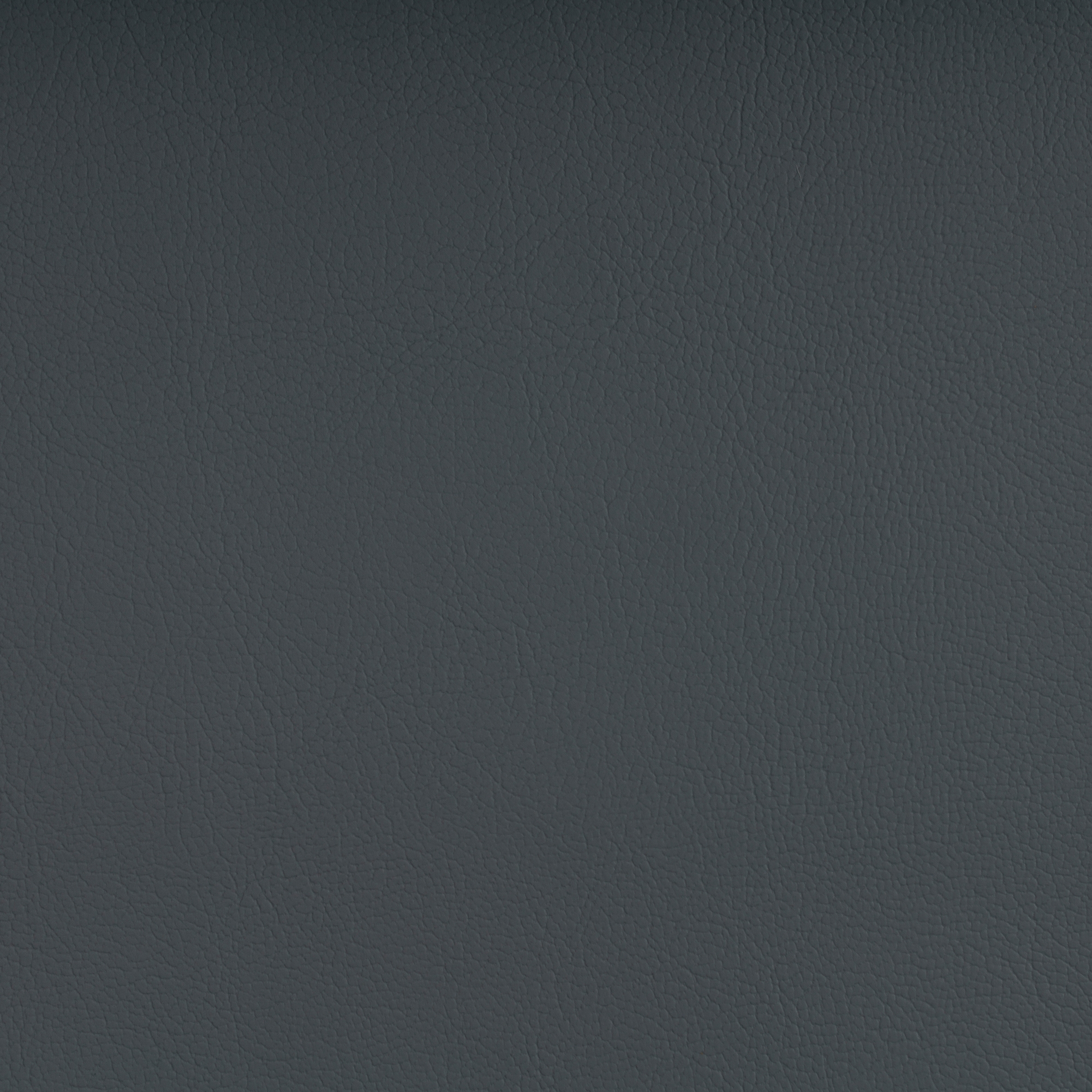 MARLIN DOVE GREY