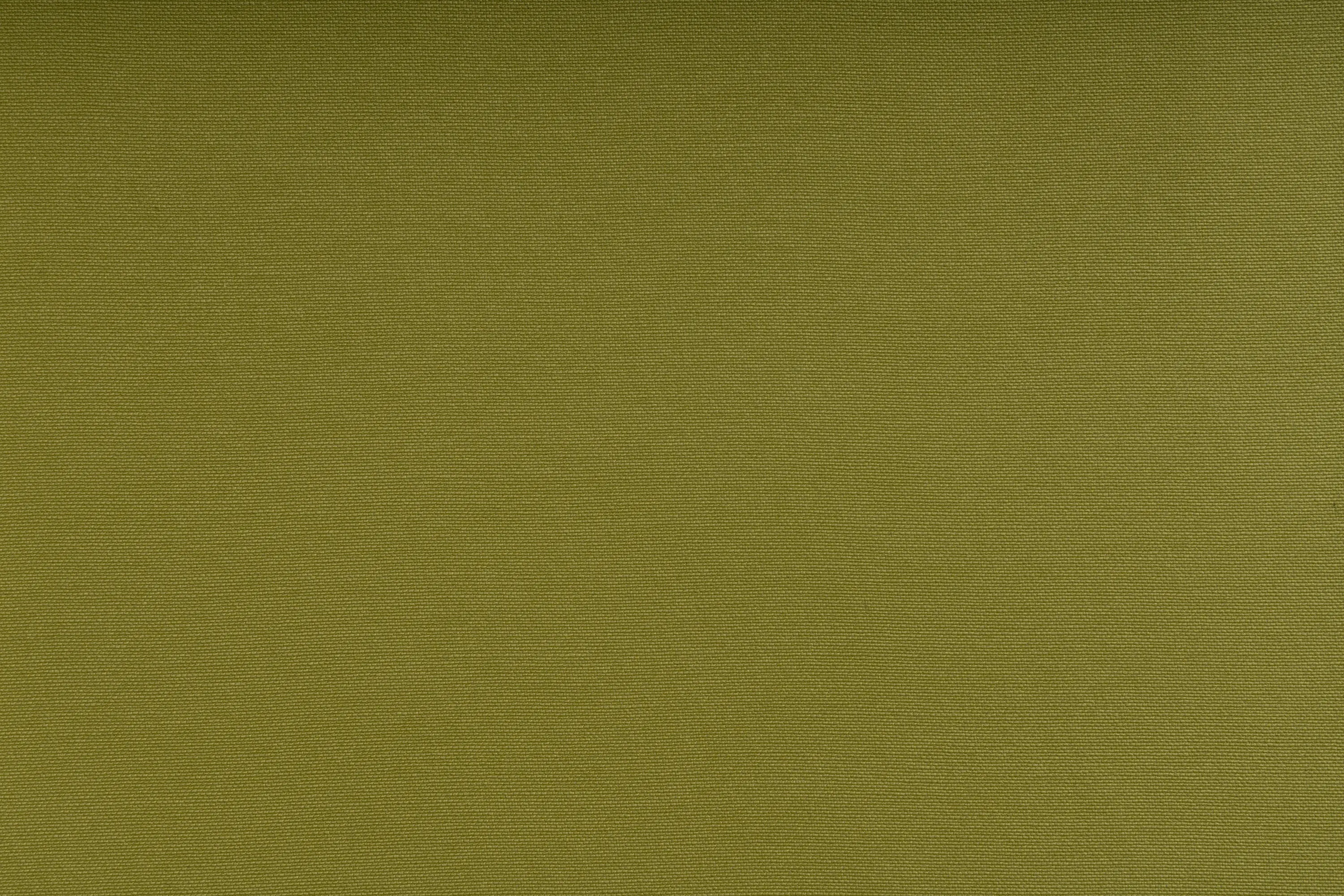 SPRADLING - SILVERTEX® CELERY