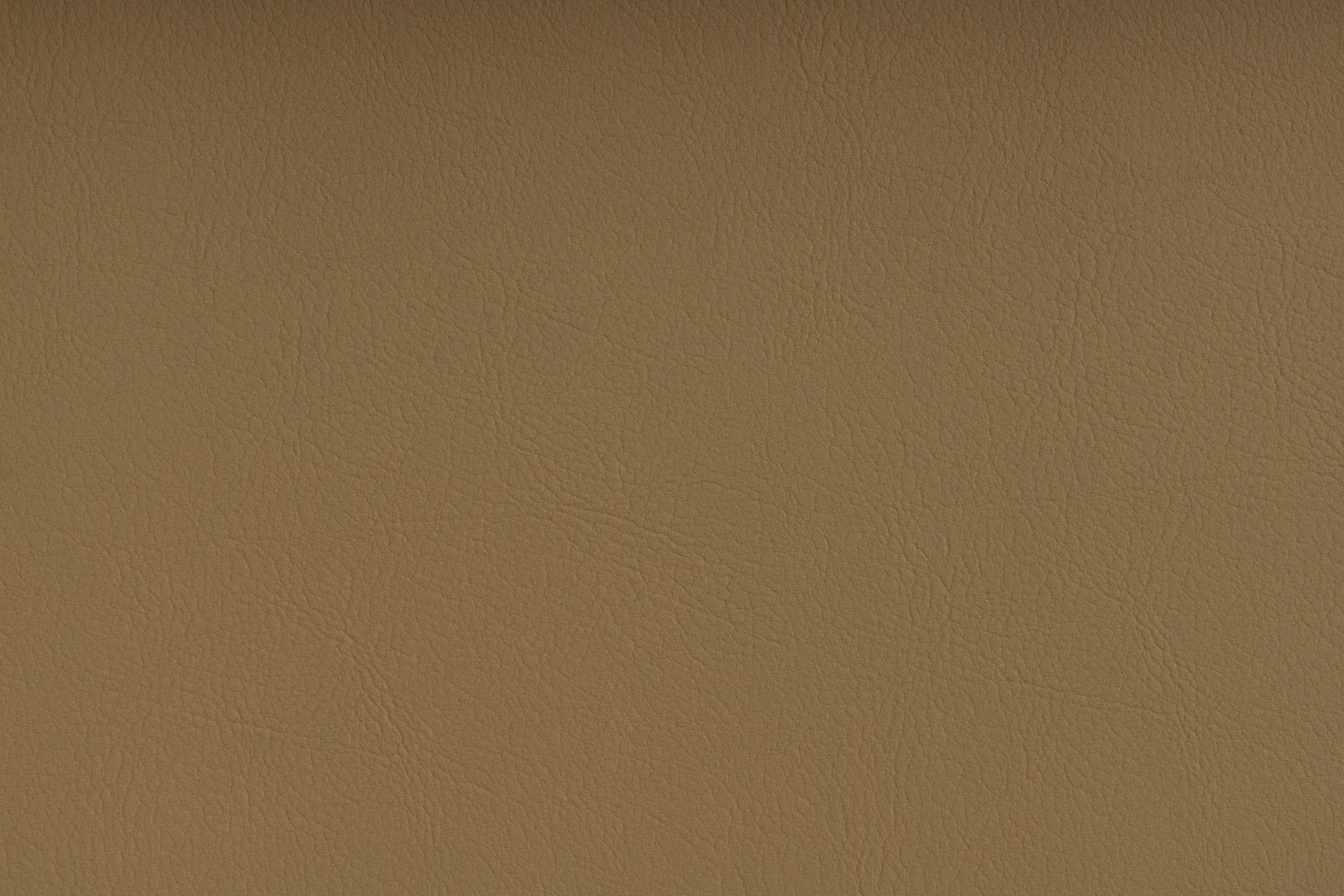 SPRADLING - VALENCIA™ BEIGE