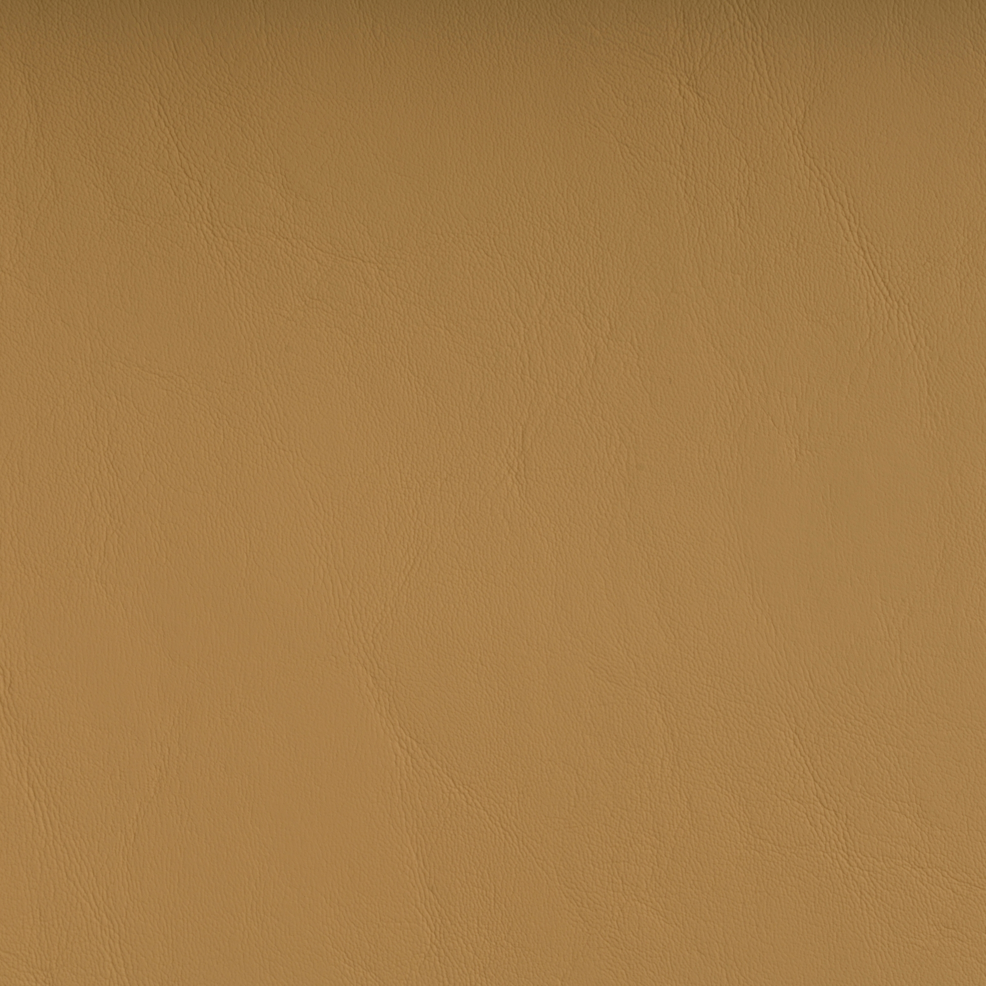 ZANDER DUNE