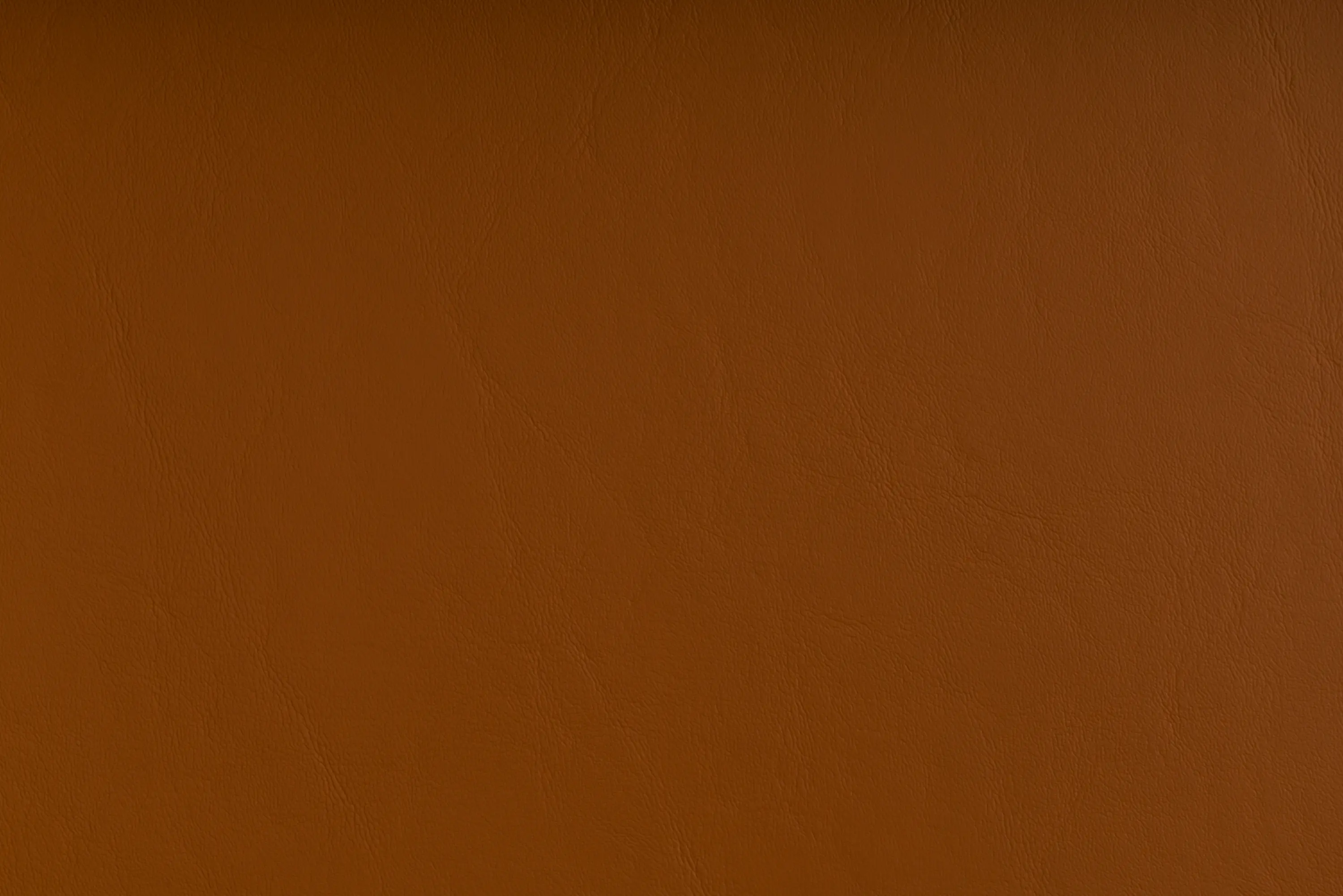 SPRADLING - ZANDER OCHRE