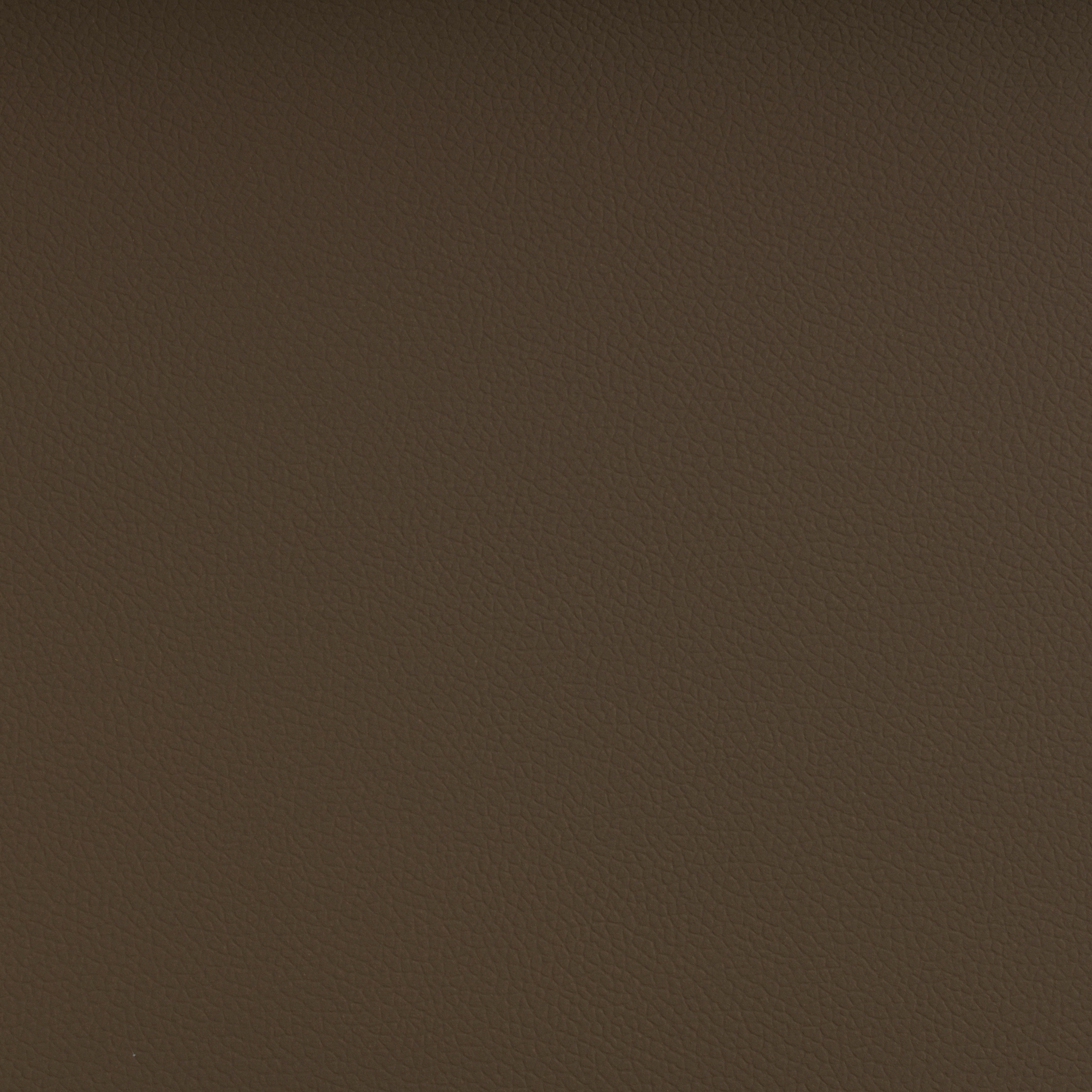 AVANTGARDE™ WALNUT