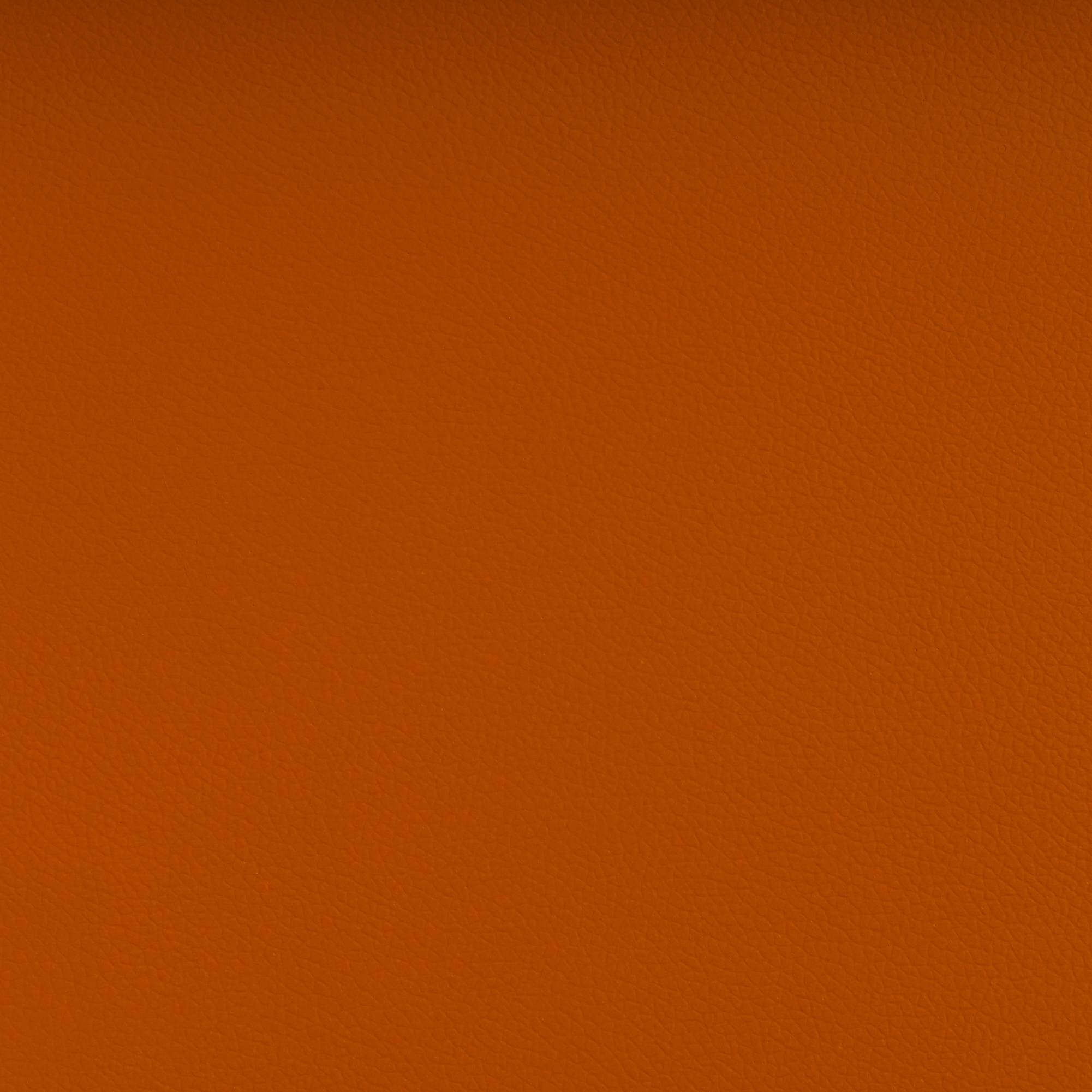 AVANTGARDE™ CLEMENTINE