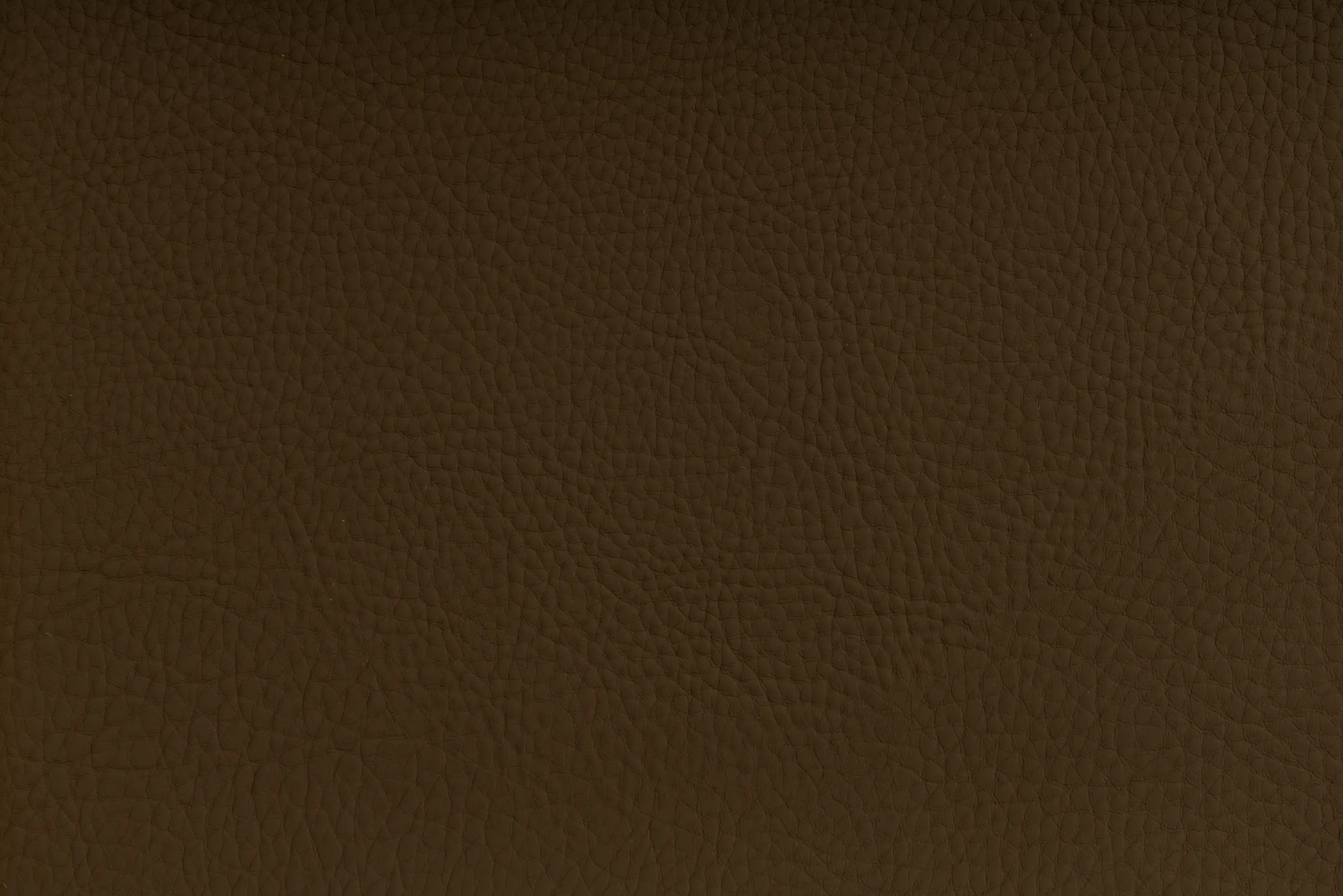 SPRADLING - CHRONOS™ TEAK