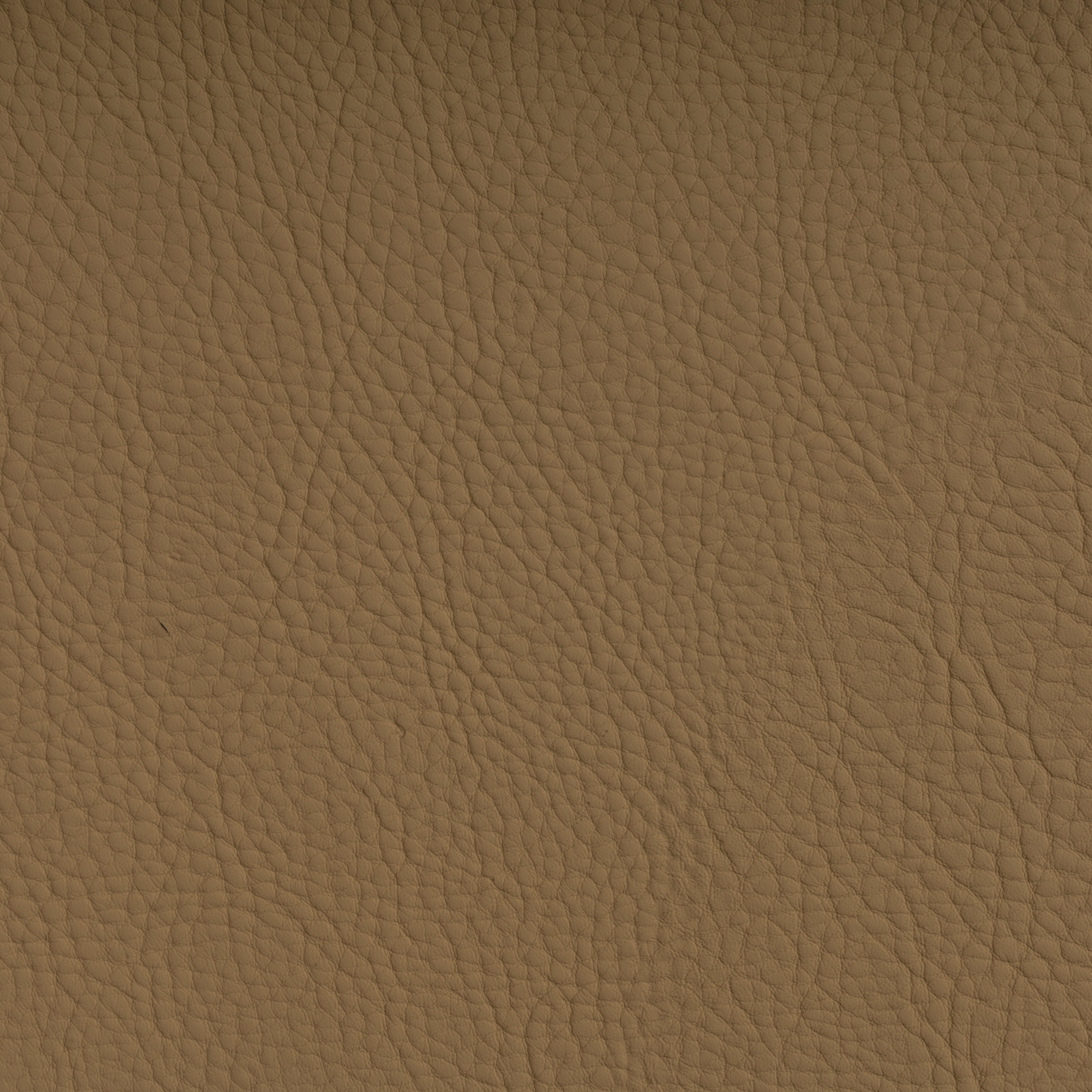 CHRONOS™ SESAME