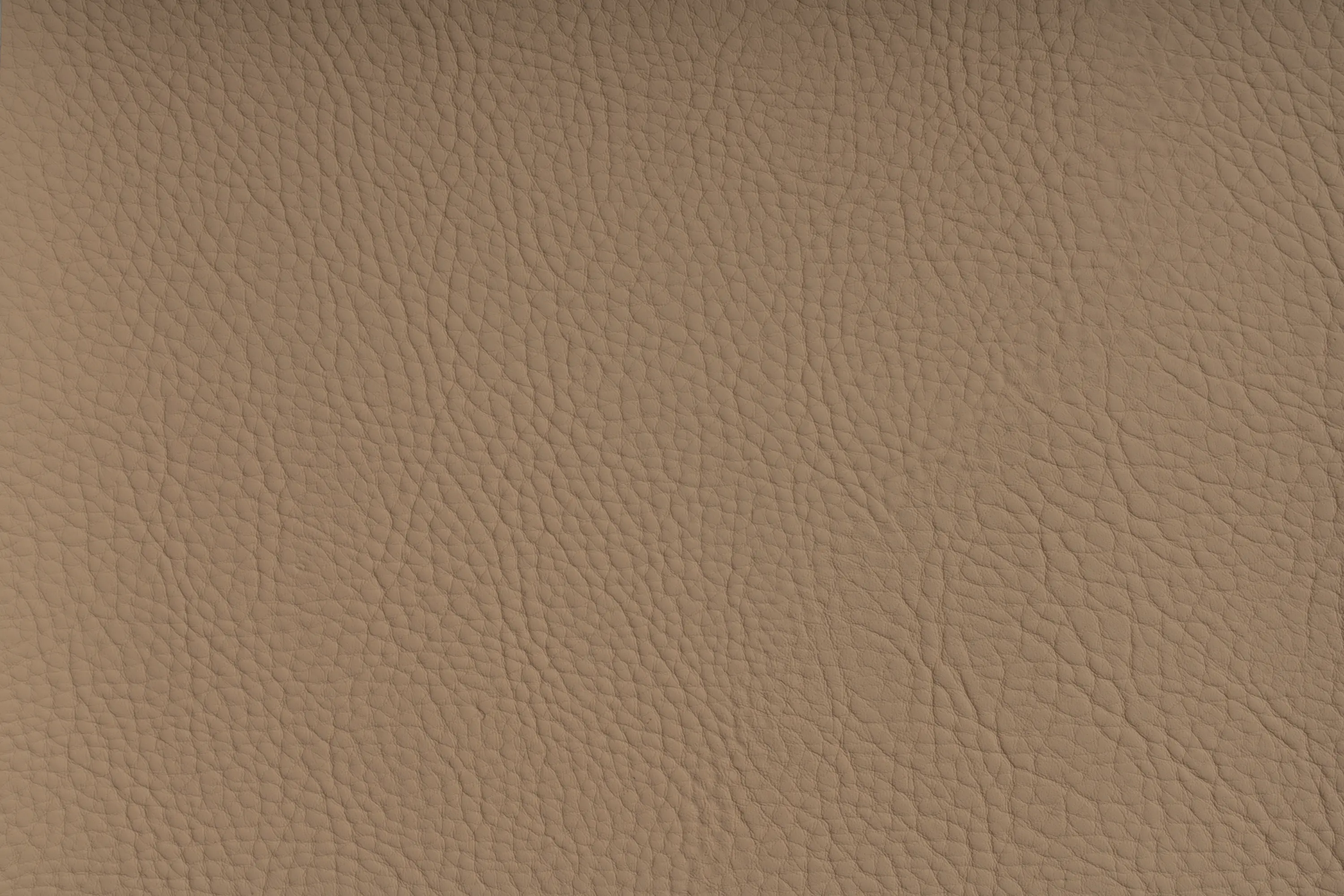 SPRADLING - CHRONOS™ MUSCAT