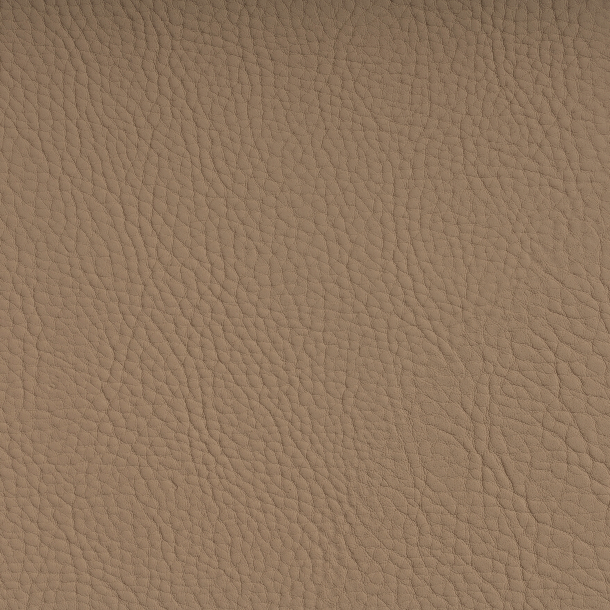 CHRONOS™ MUSCAT