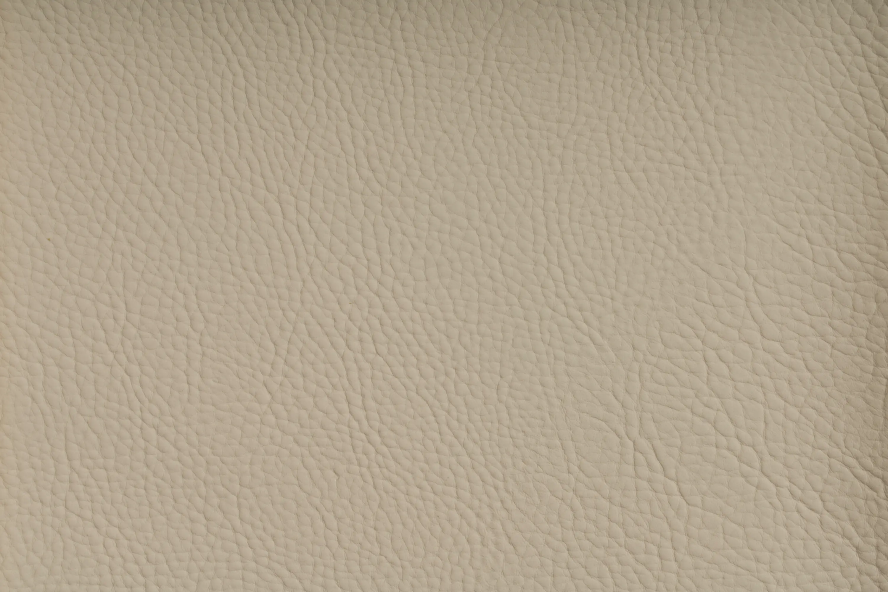 SPRADLING - CHRONOS™ MARZIPAN