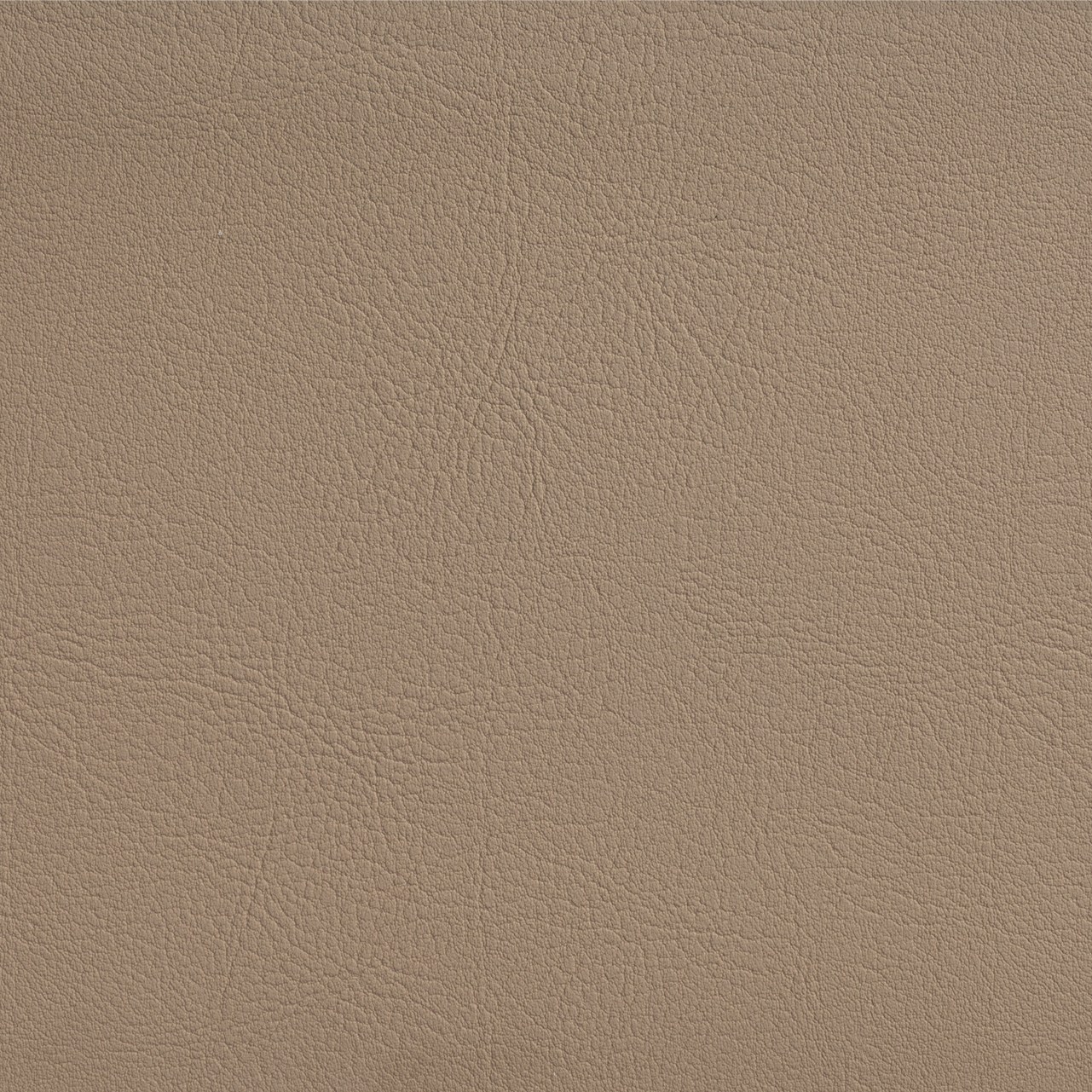 FINESSE TAUPE