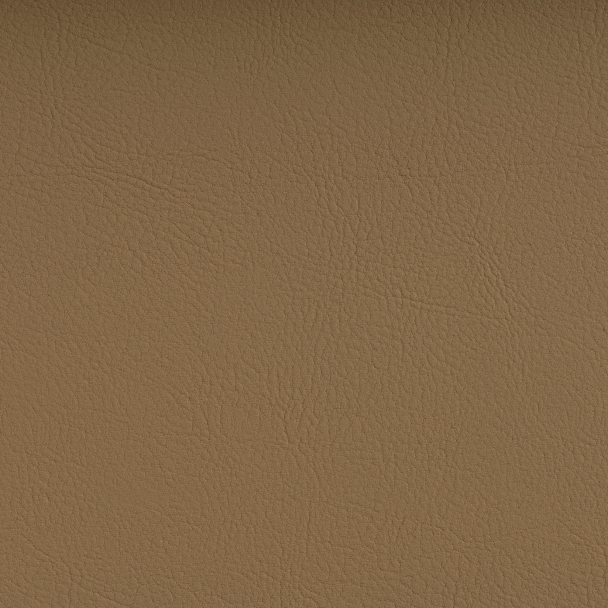 Produkt FINESSE BEIGE des Herstellers SPRADLING anzeigen