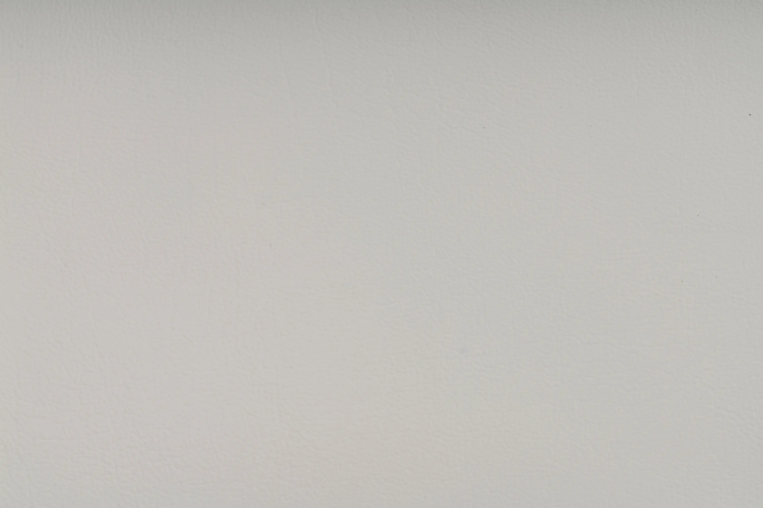SPRADLING - NAUTILUS MARSHMALLOW