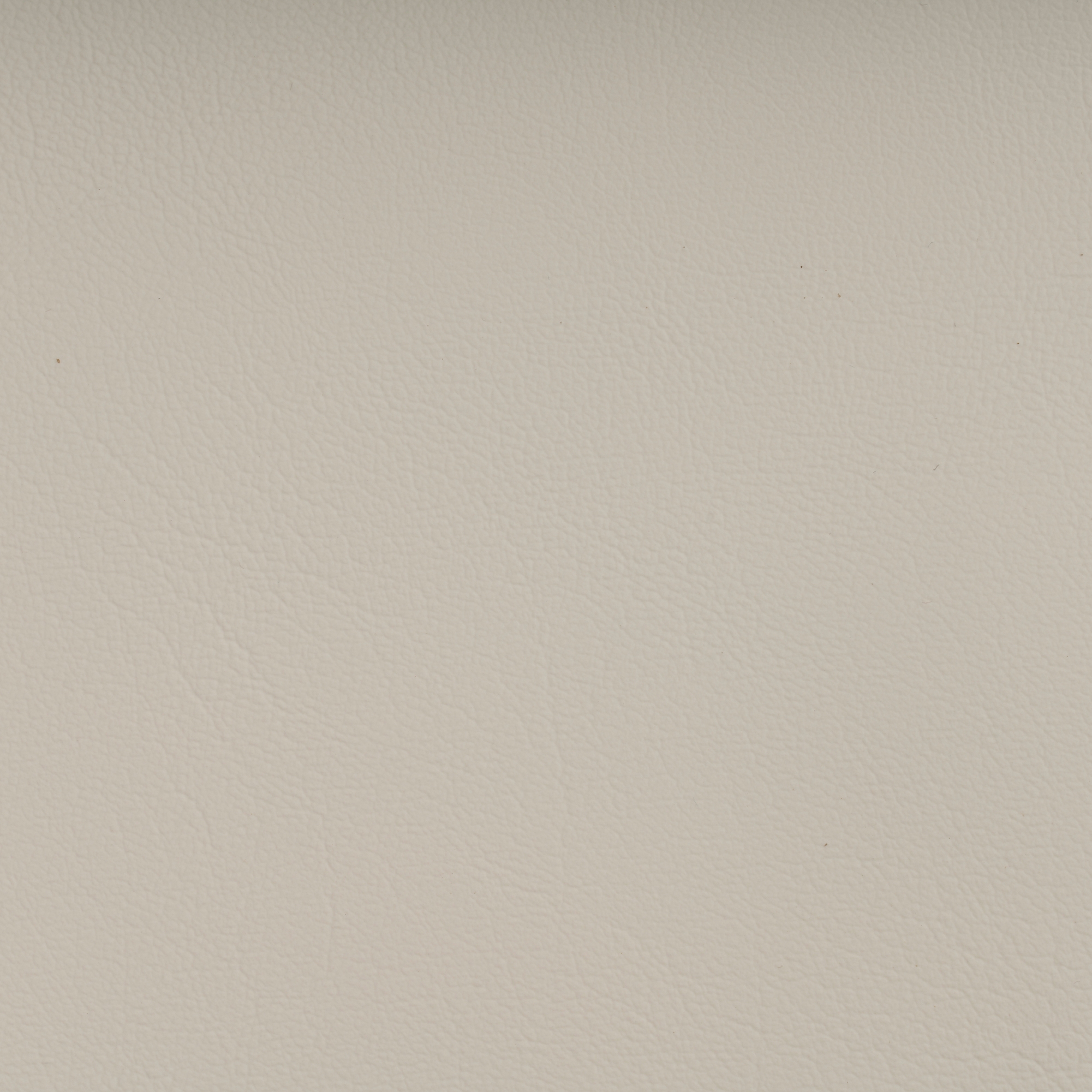 NAUTILUS PRISTINE