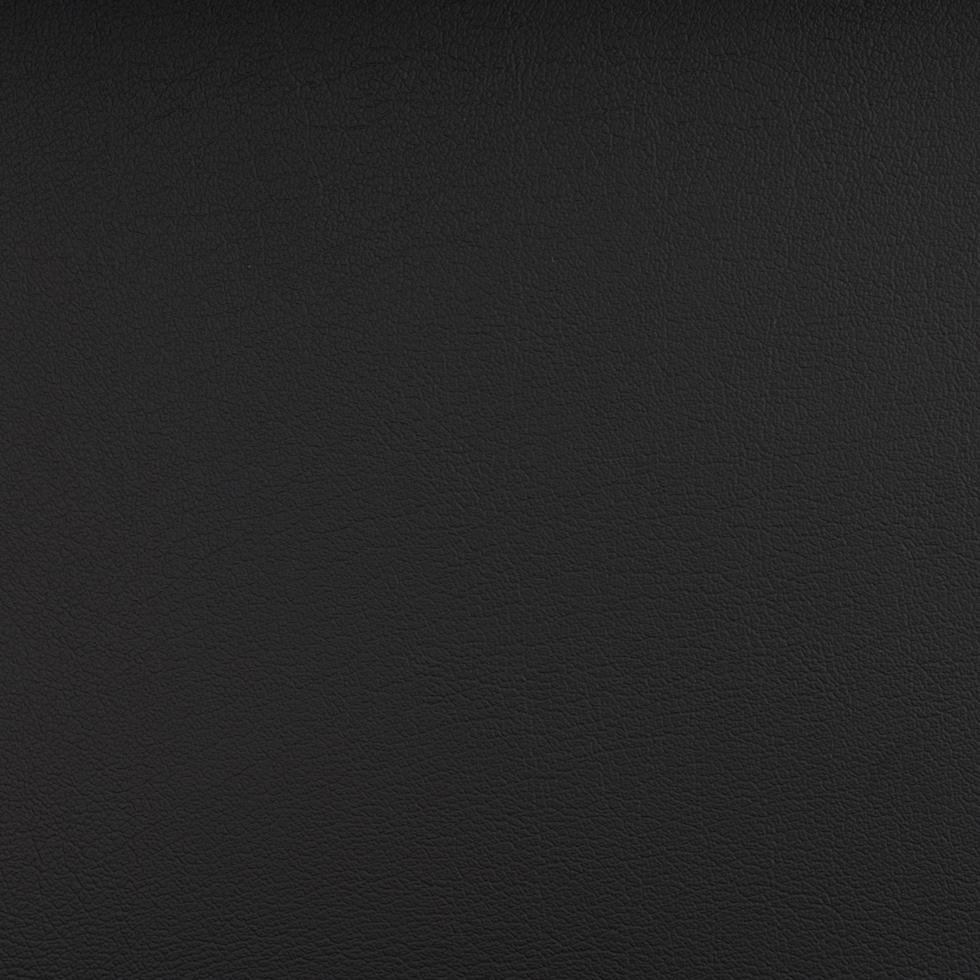 NAUTILUS OBSIDIAN