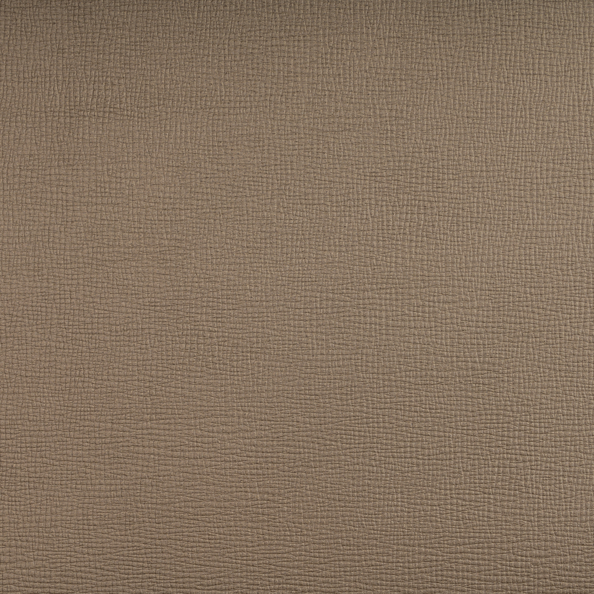 SAFFIANO PALLADIUM