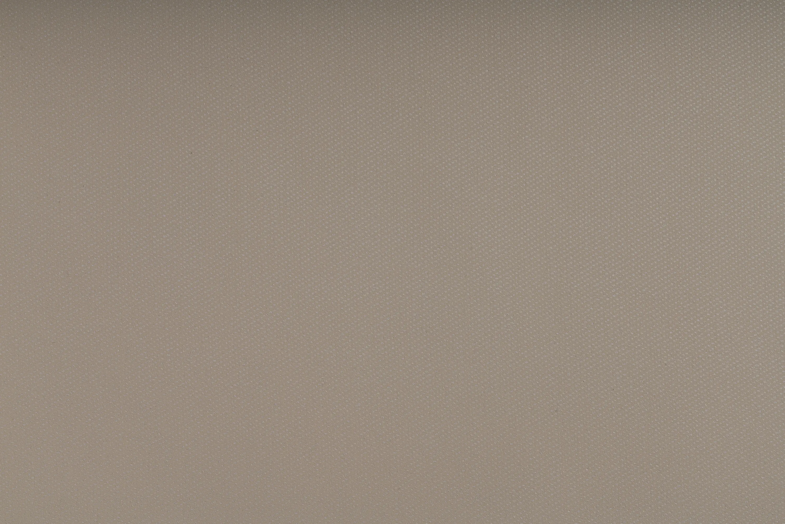 SPRADLING - SANDSTONE OYSTER